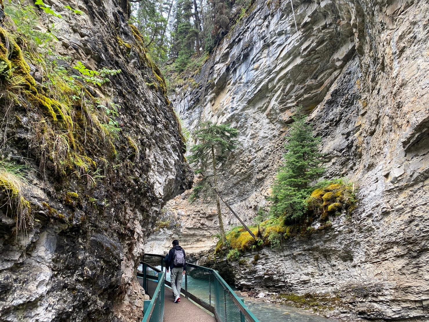 Lake Louise and Moraine Lake shuttle tour — glacial turquoise lakes in Banff National Park — image 7