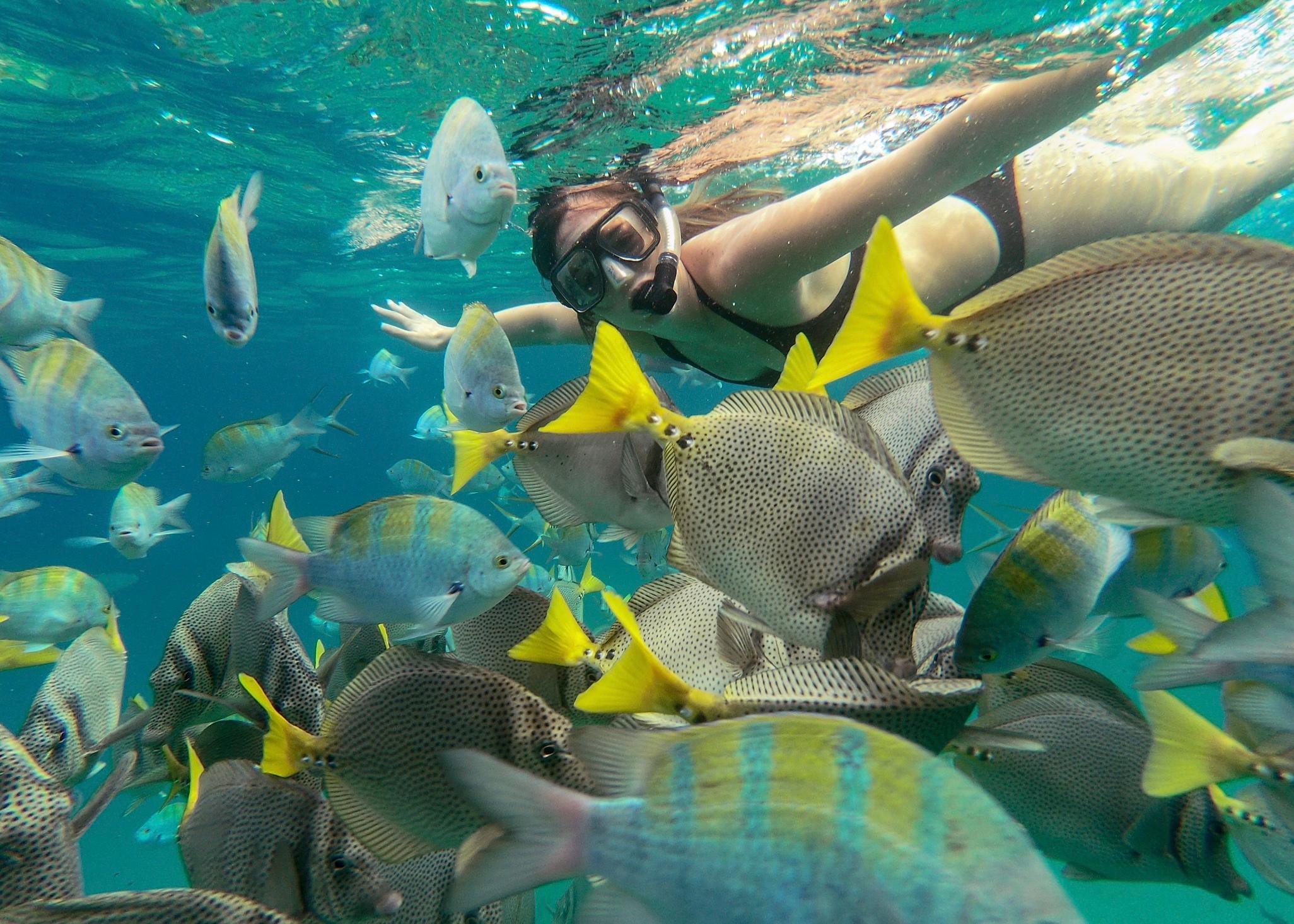 Los Cabos Land's End Boat Tour & Snorkeling Adventure