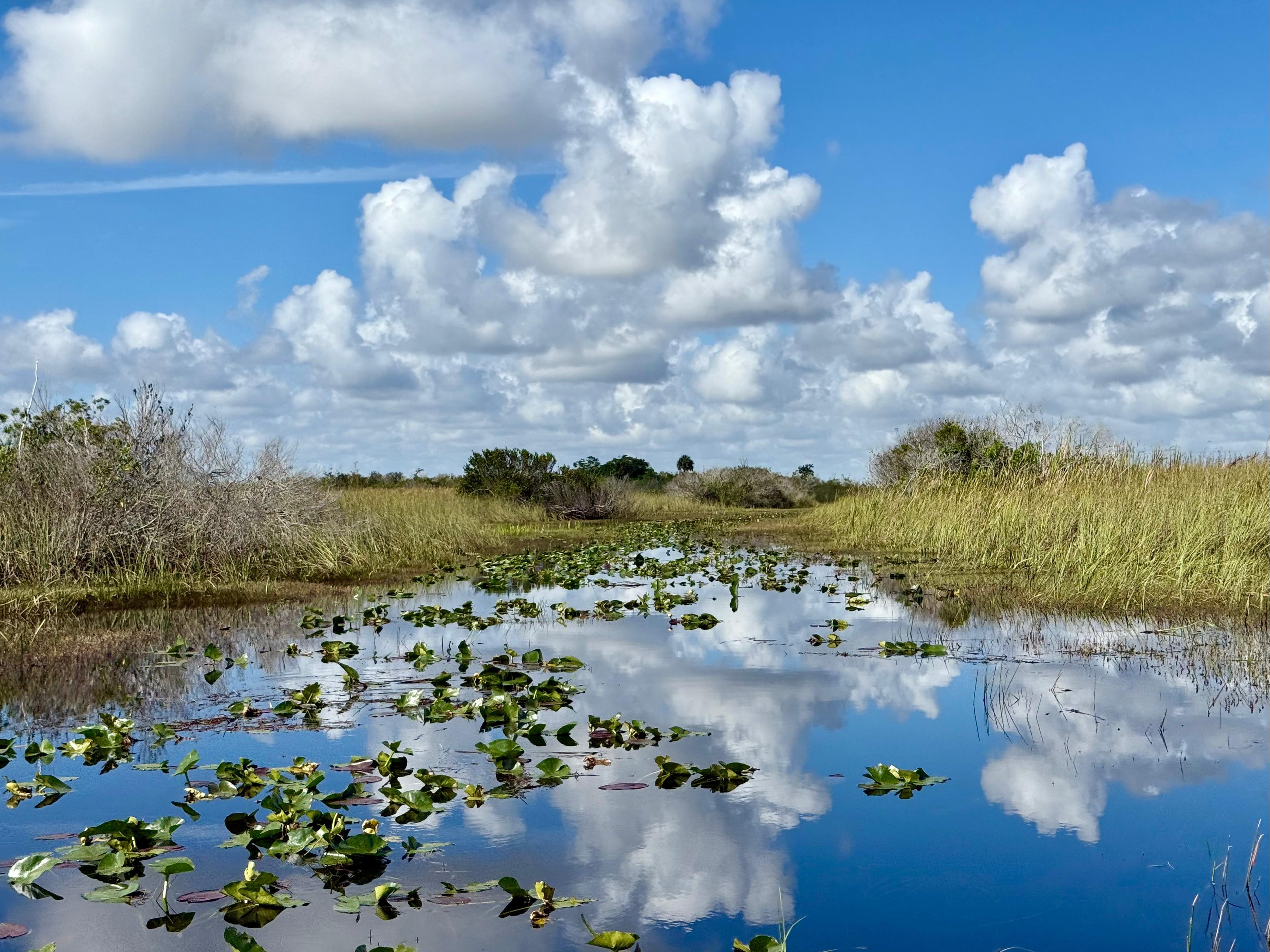Small-Group Everglades Eco-Adventure & Private Islands Tour