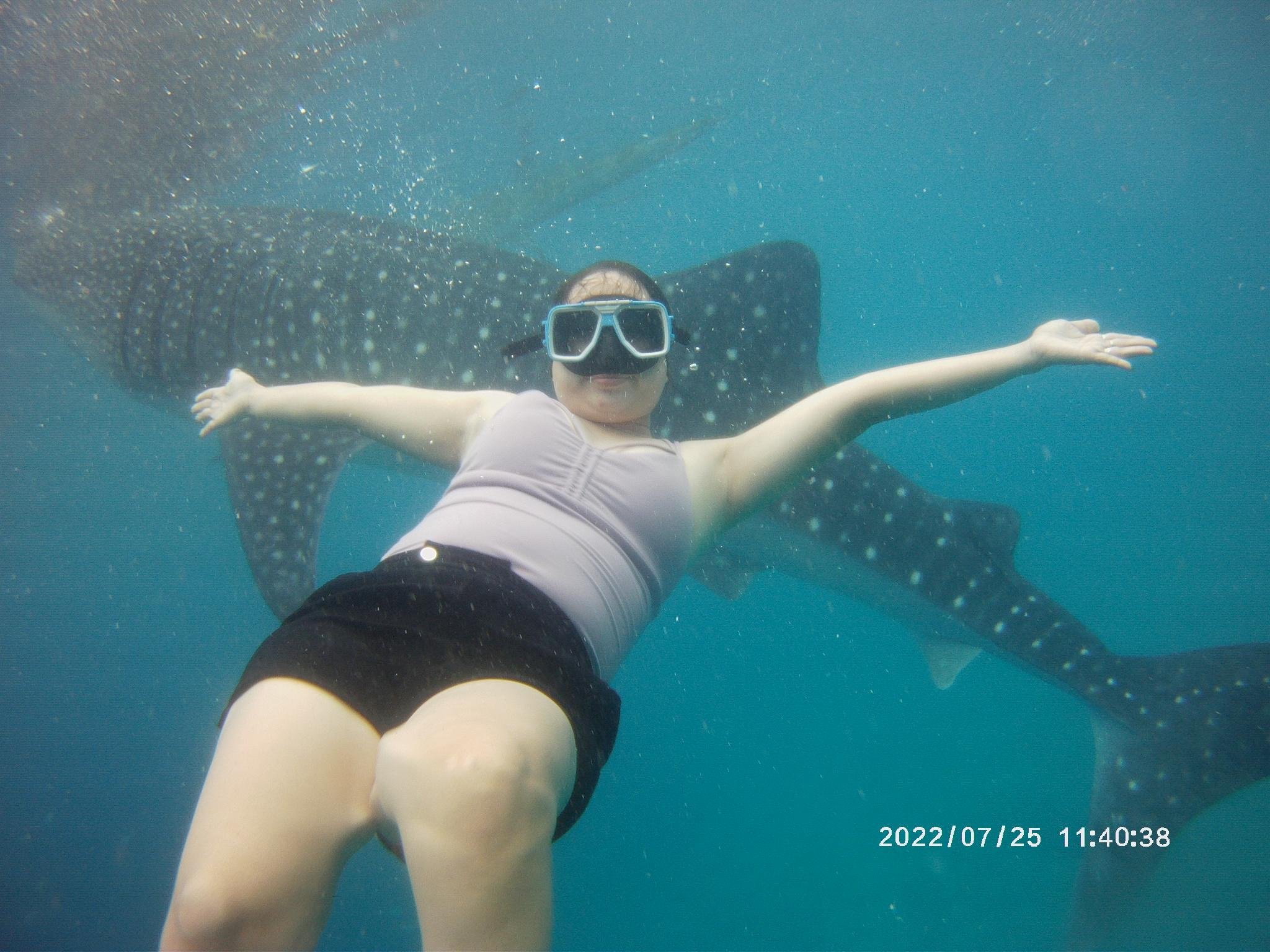 Cebu Full-Day Adventure: Whale Sharks, Kawasan Falls & Moalboal Sardines