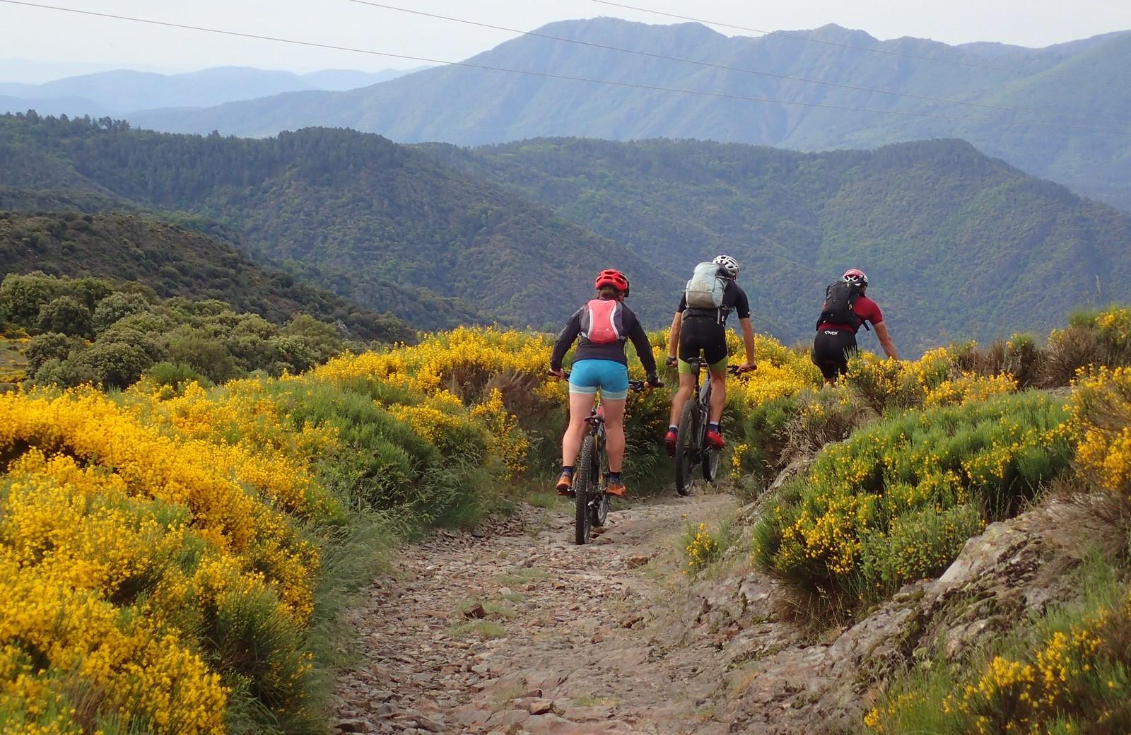 Cévennes d'Ardèche Mountain Bike & Kayak Adventure