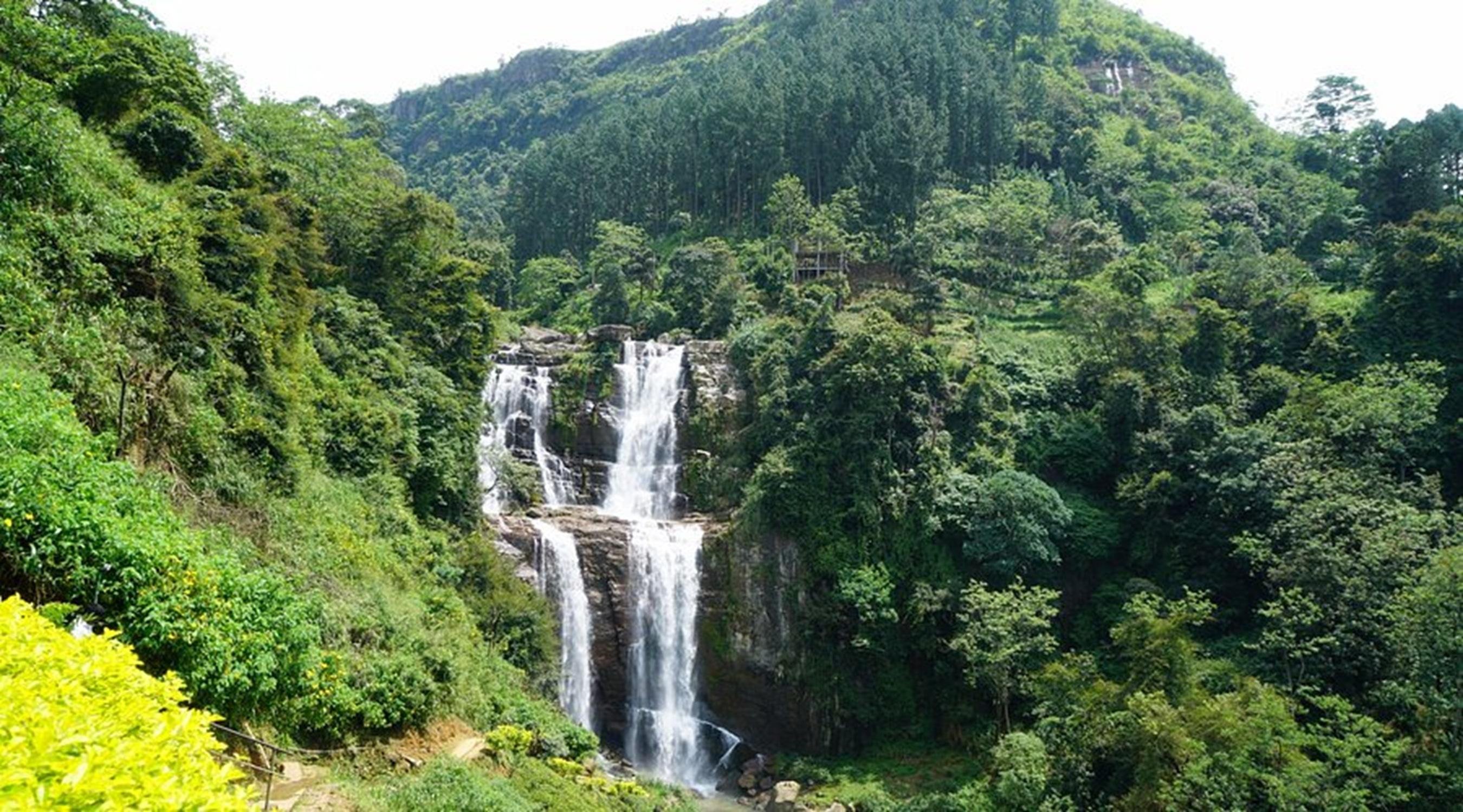 Sri Lanka Scenic Train Ride: Ella to Kandy via Nuwara Eliya