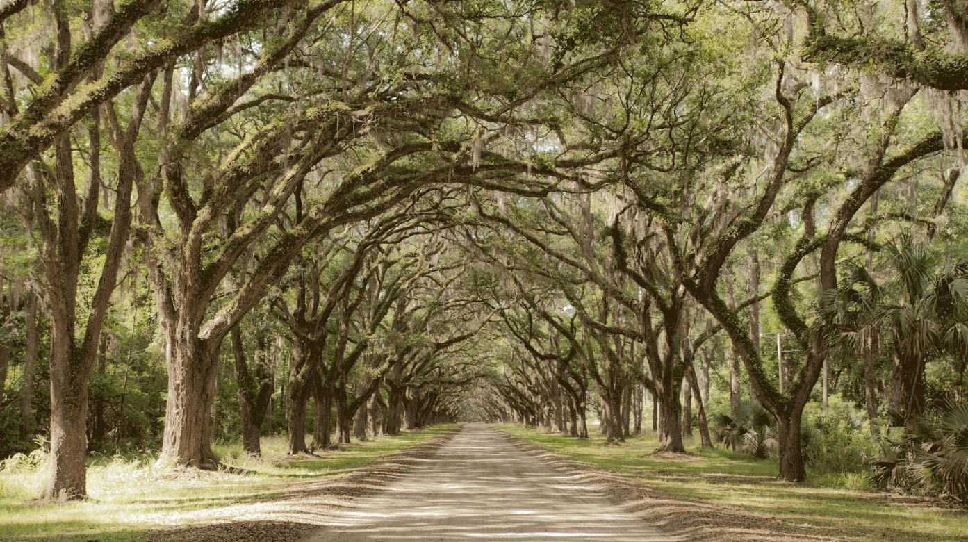Savannah Georgia — tour experience image 6