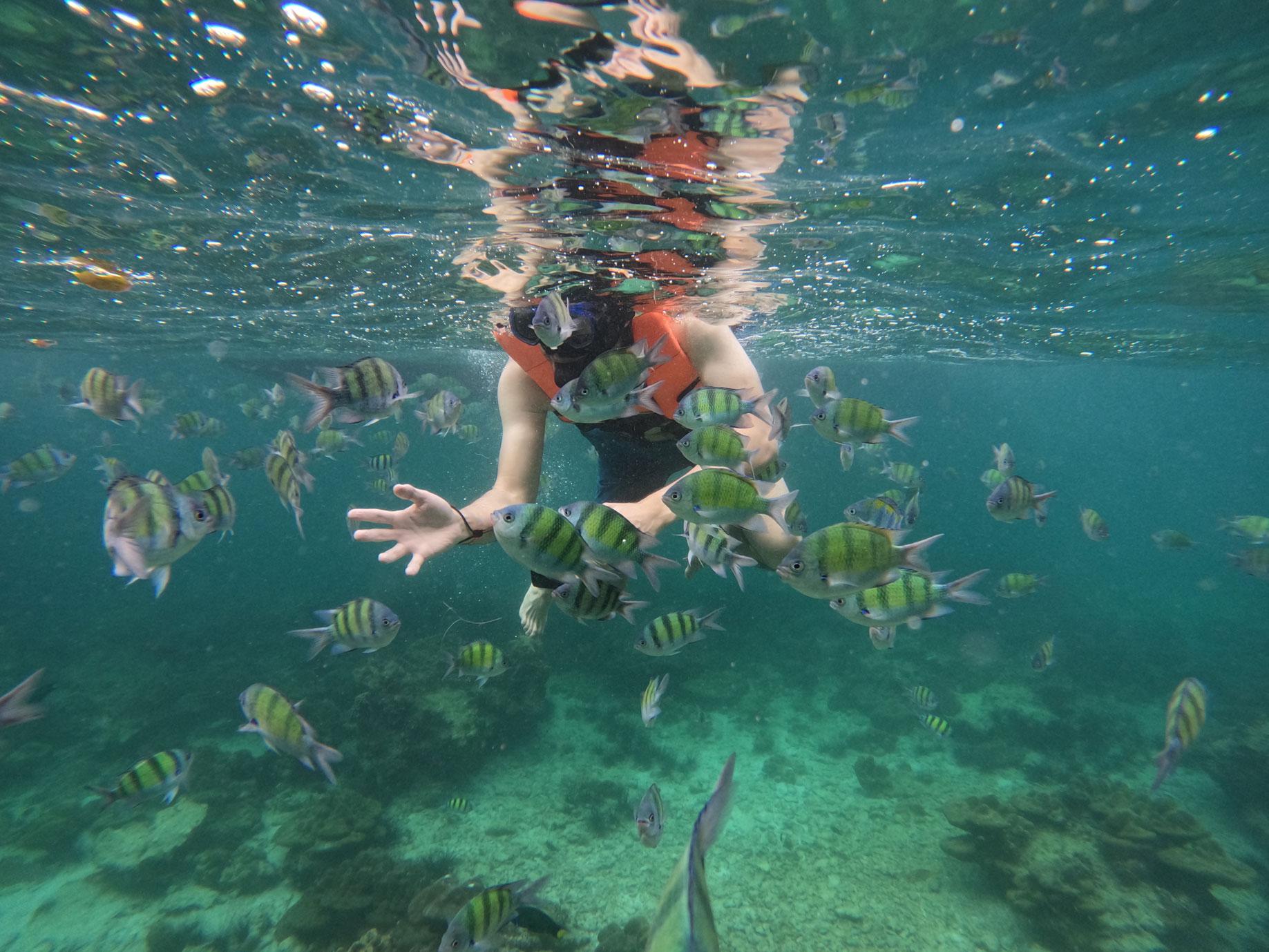 Private Koh Phi Phi Longtail Boat Expedition
