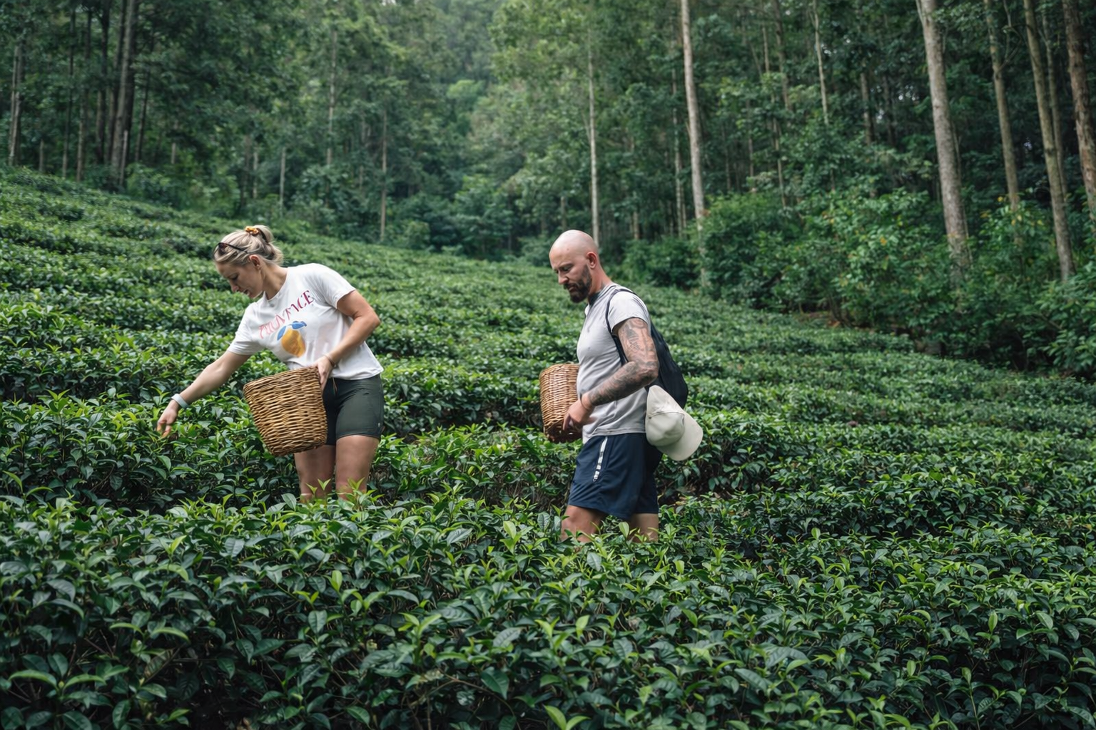 Ella: Hands-On Tea Making and Tasting Experience