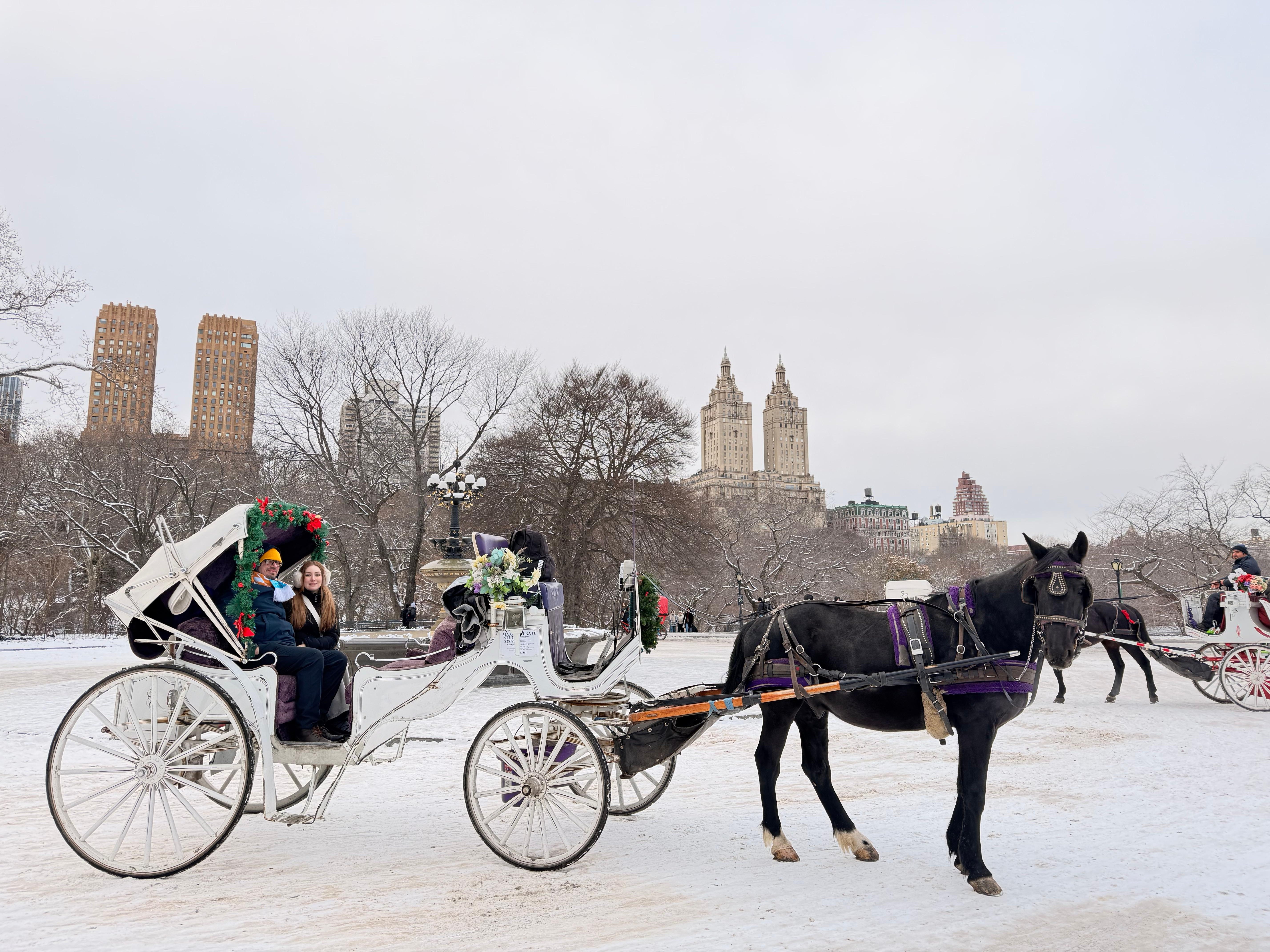 Central Park Horse-Drawn Carriage Tour with Live Guide
