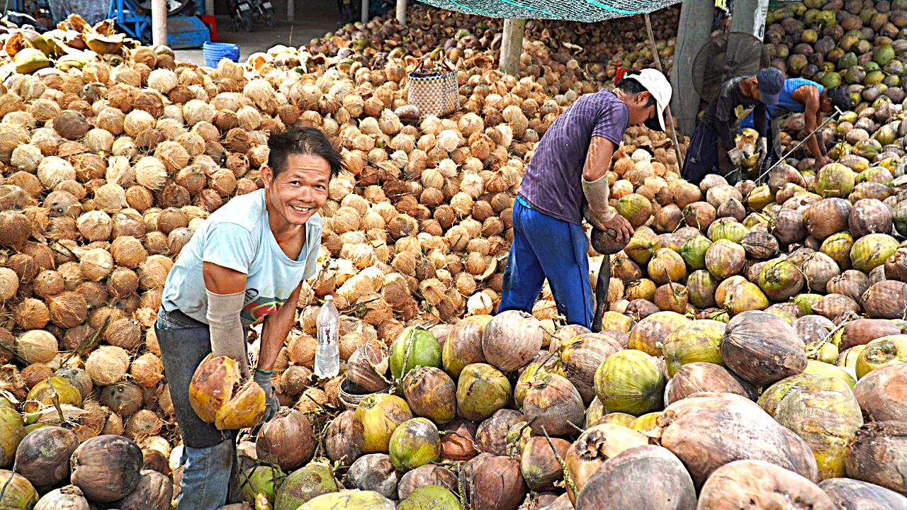 Ben Tre Mekong Delta & Cu Chi Tunnels – Small Group Day Tour (Max 9)