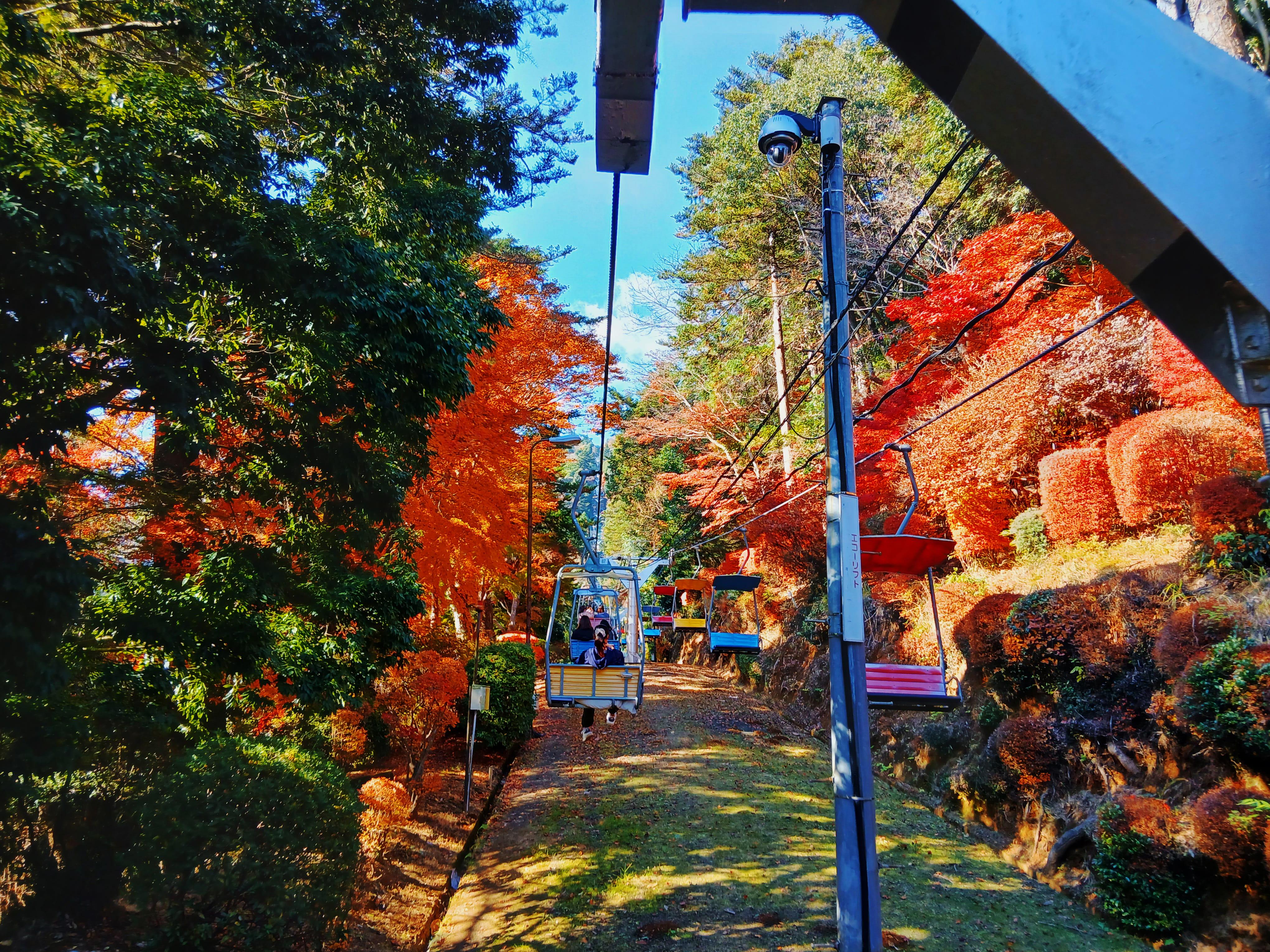Mount Takao Hiking Adventure with Ramen Lunch & Tattoo-Friendly Hot Springs
