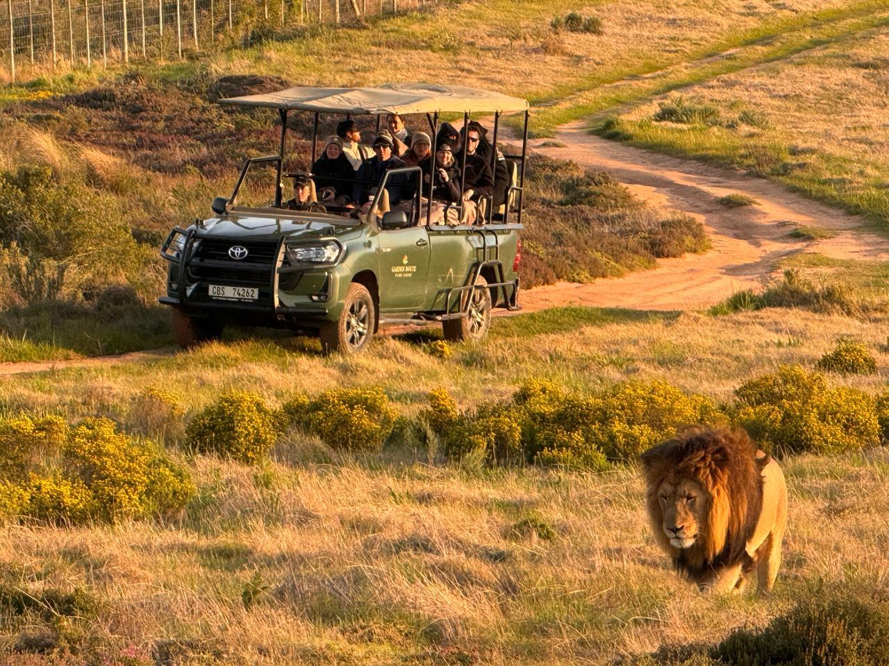 Private 2-Day Garden Route Safari: Penguins & Cape Agulhas
