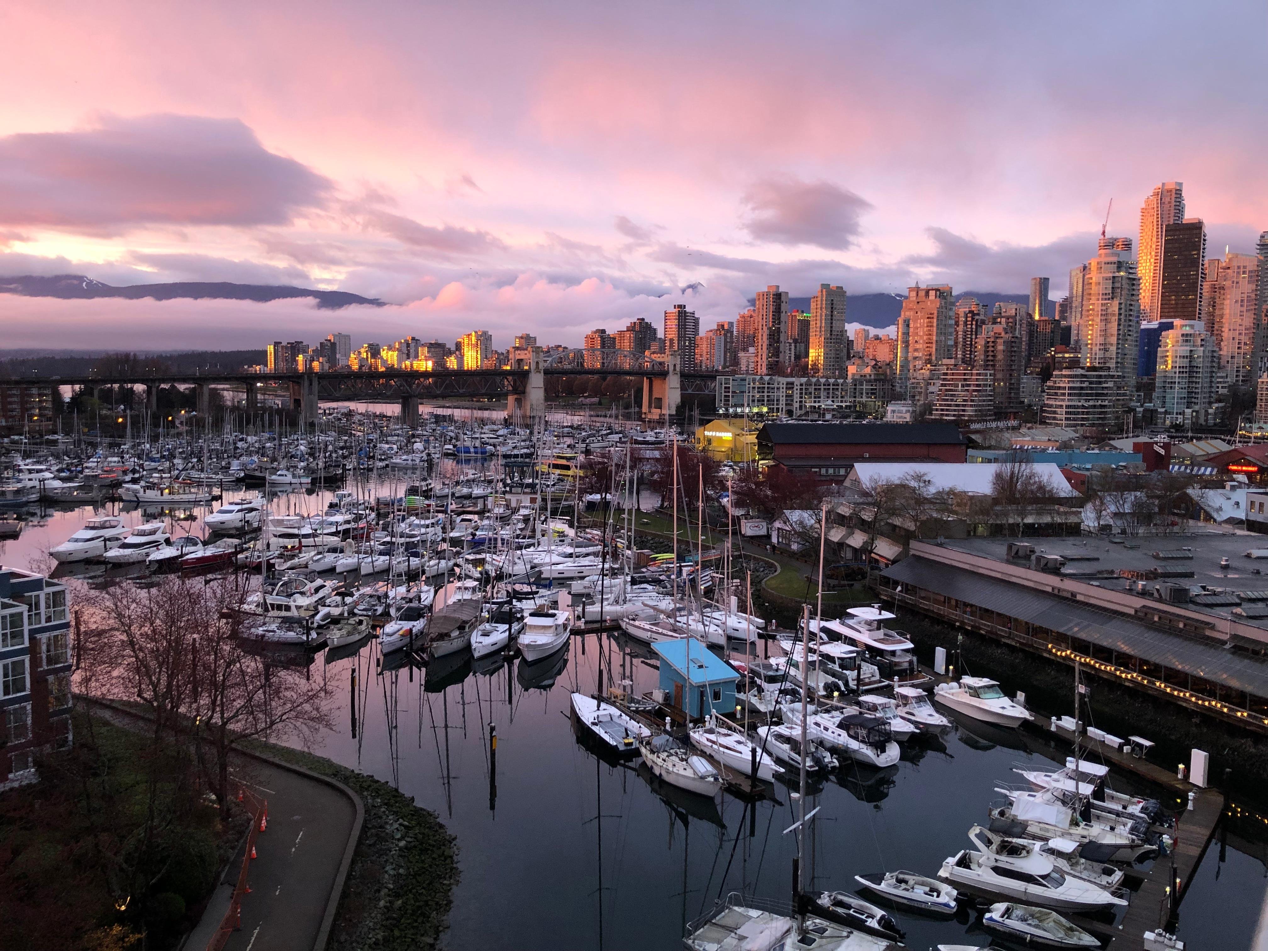 Vancouver Highlights: City Tour, Lookout & Capilano Bridge