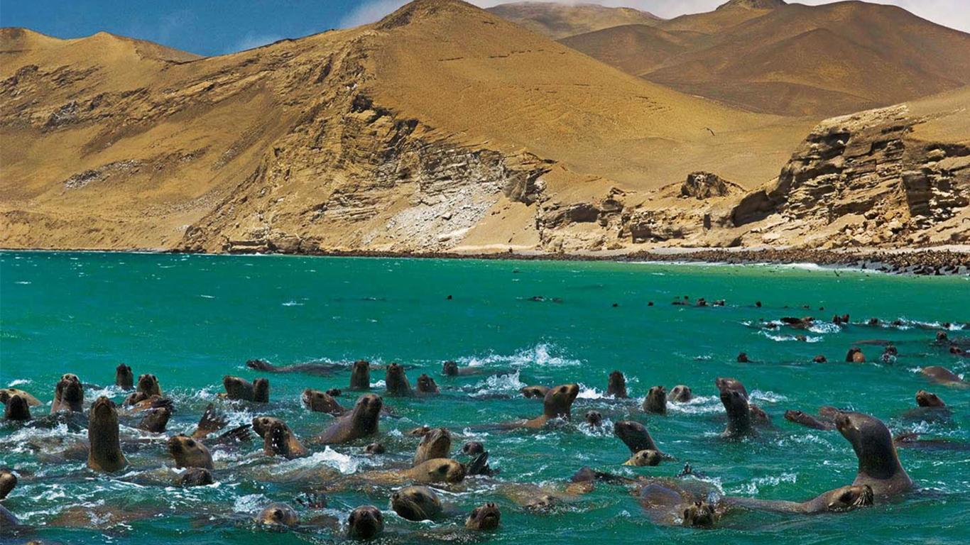 Avventura di 5 giorni in Perù: Lima, Paracas, Huacachina e Machu Picchu