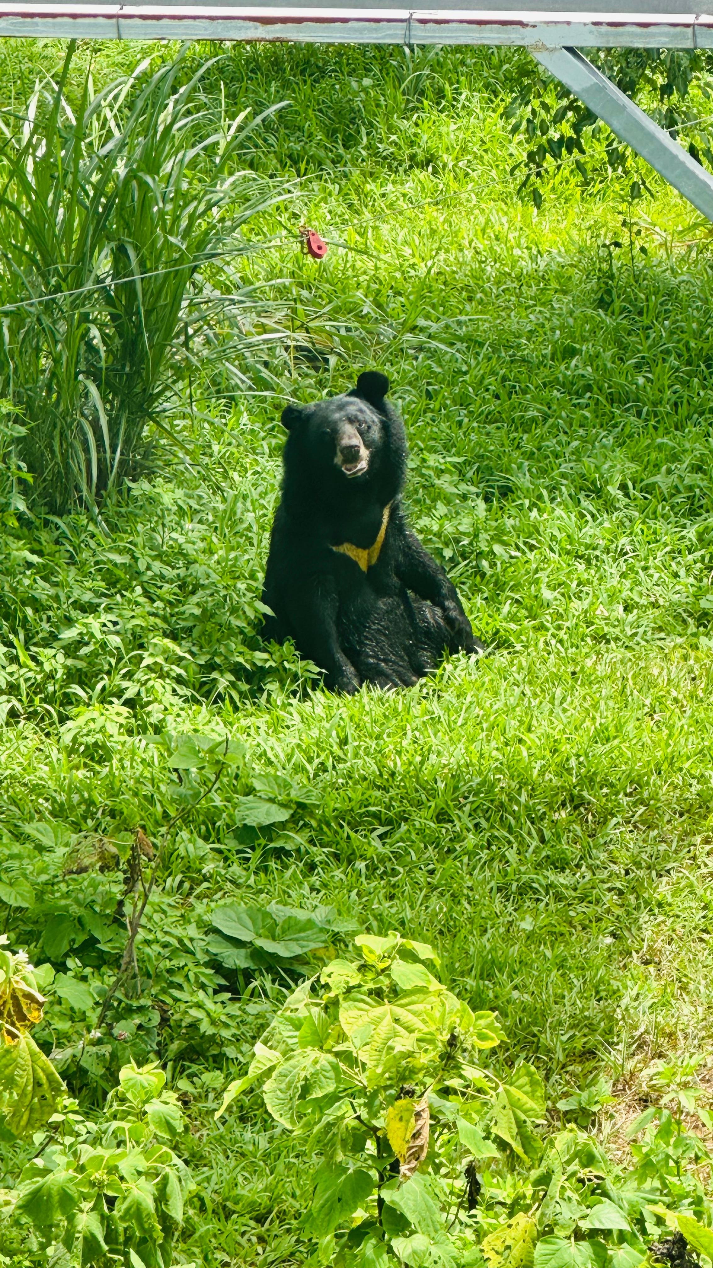 Cuc Phuong National Park Day Trek & Bear Sanctuary from Ninh Binh