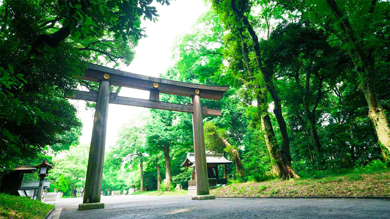 Tokyo Meiji Shrine Walking Tour: Shinto Faith & Imperial Legacy
