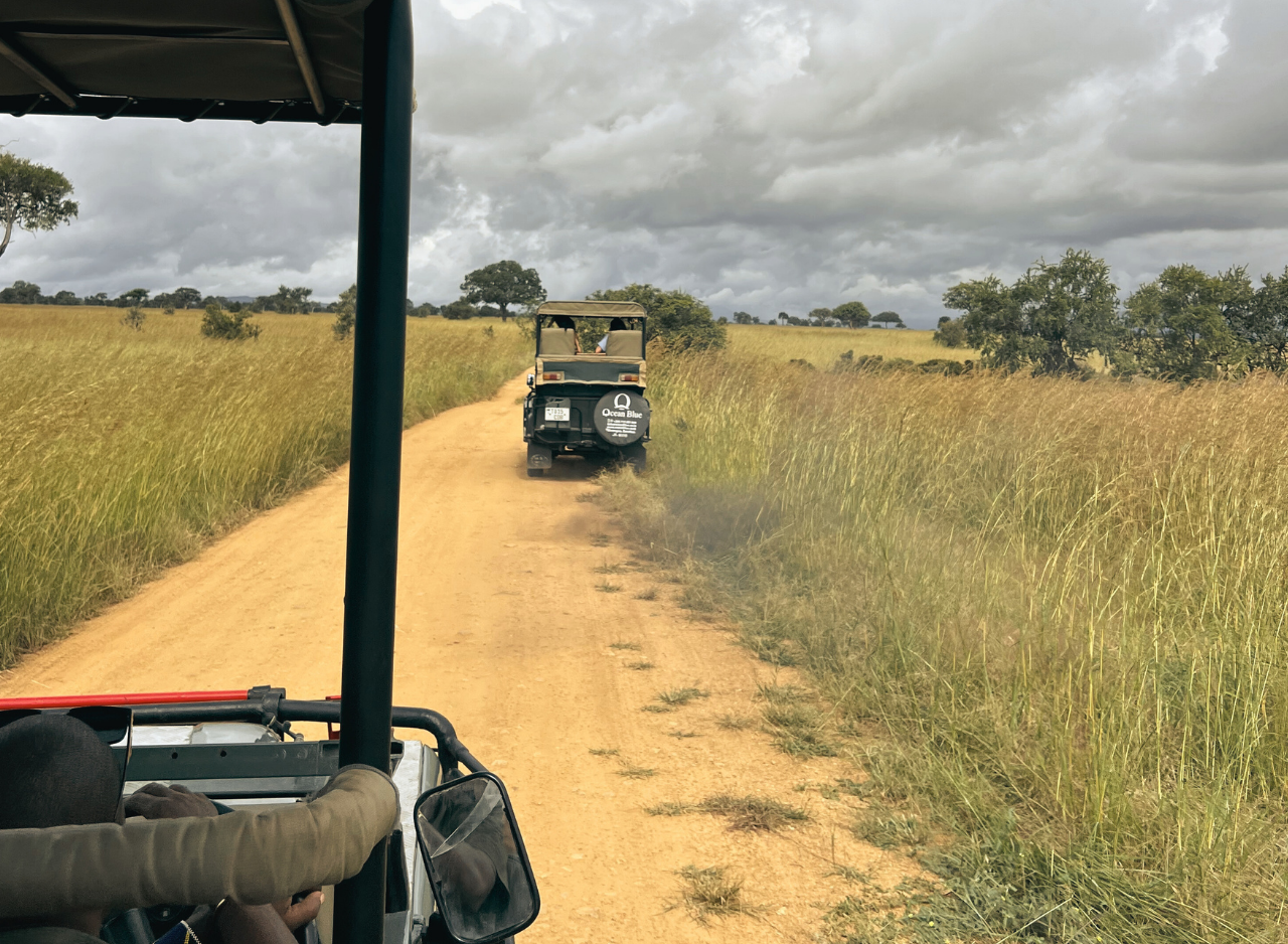 Zanzibar to Mikumi: Fly-In Safari Day Trip by Twin-Engine Plane