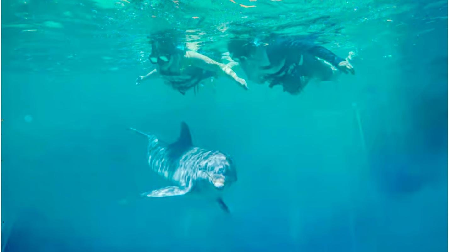 Puerto Rico Private Boat, Jet Ski & Water Sports Adventure