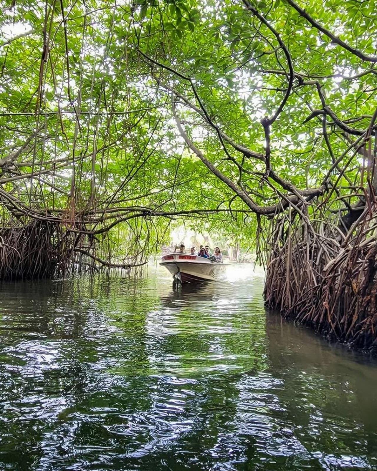Bentota: Madu River, Cinnamon Island & Mask Workshop Tour