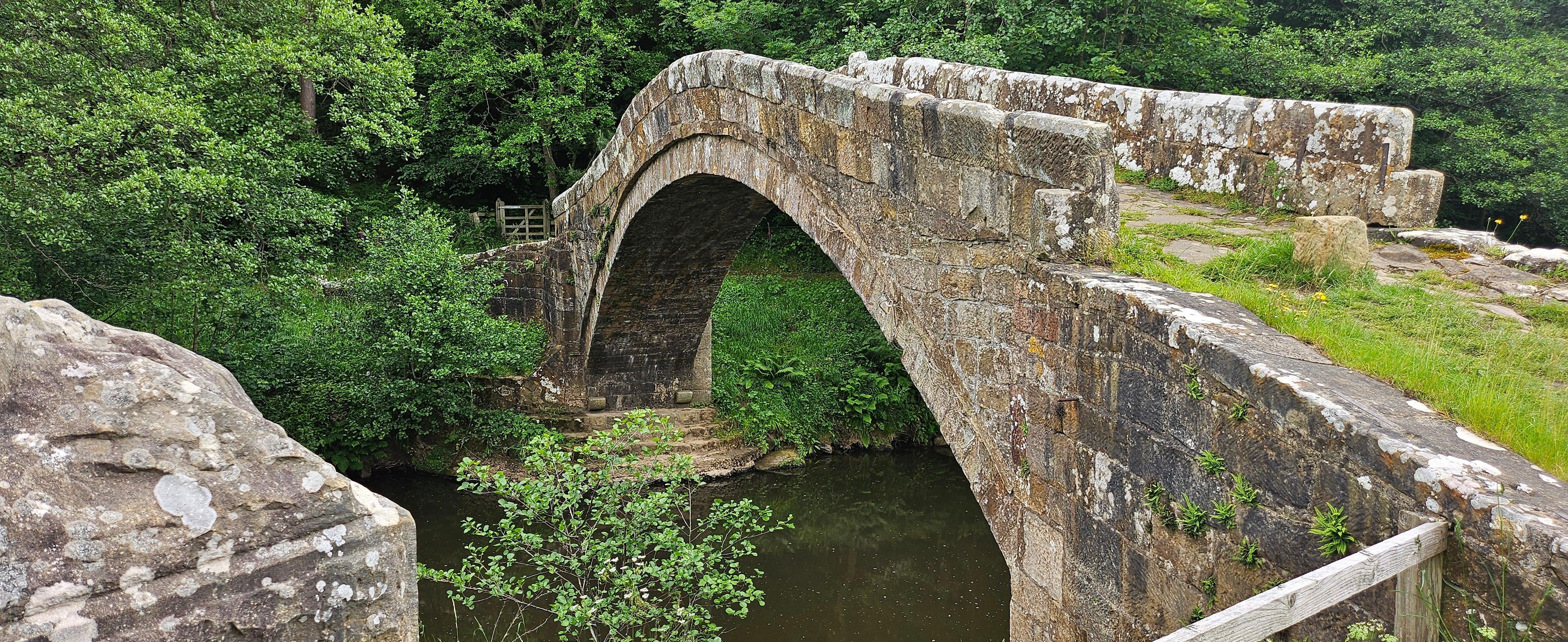 North York Moors, Steam Train & Whitby Small-Group Tour