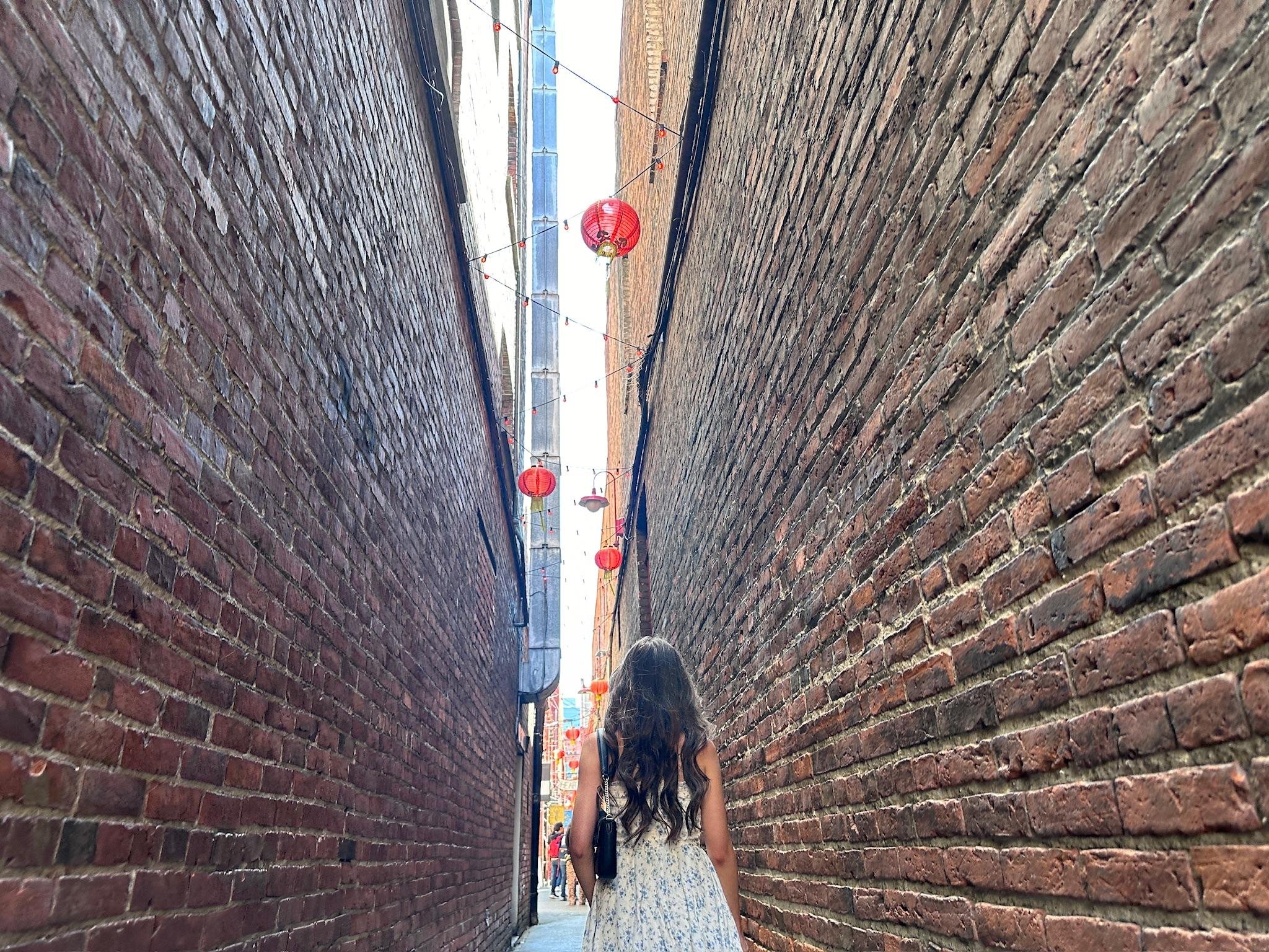 Private 2-Hour Victoria Highlights City Tour