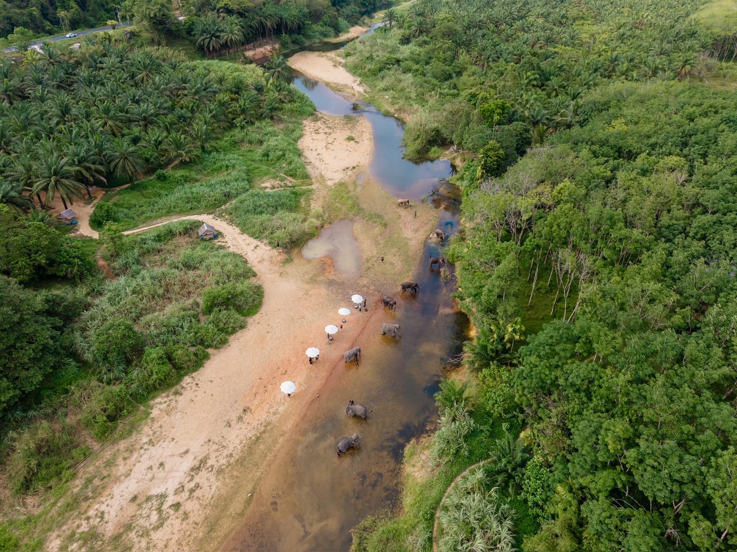 Khao Sok Elephant Rescue & Bamboo River Raft from Krabi