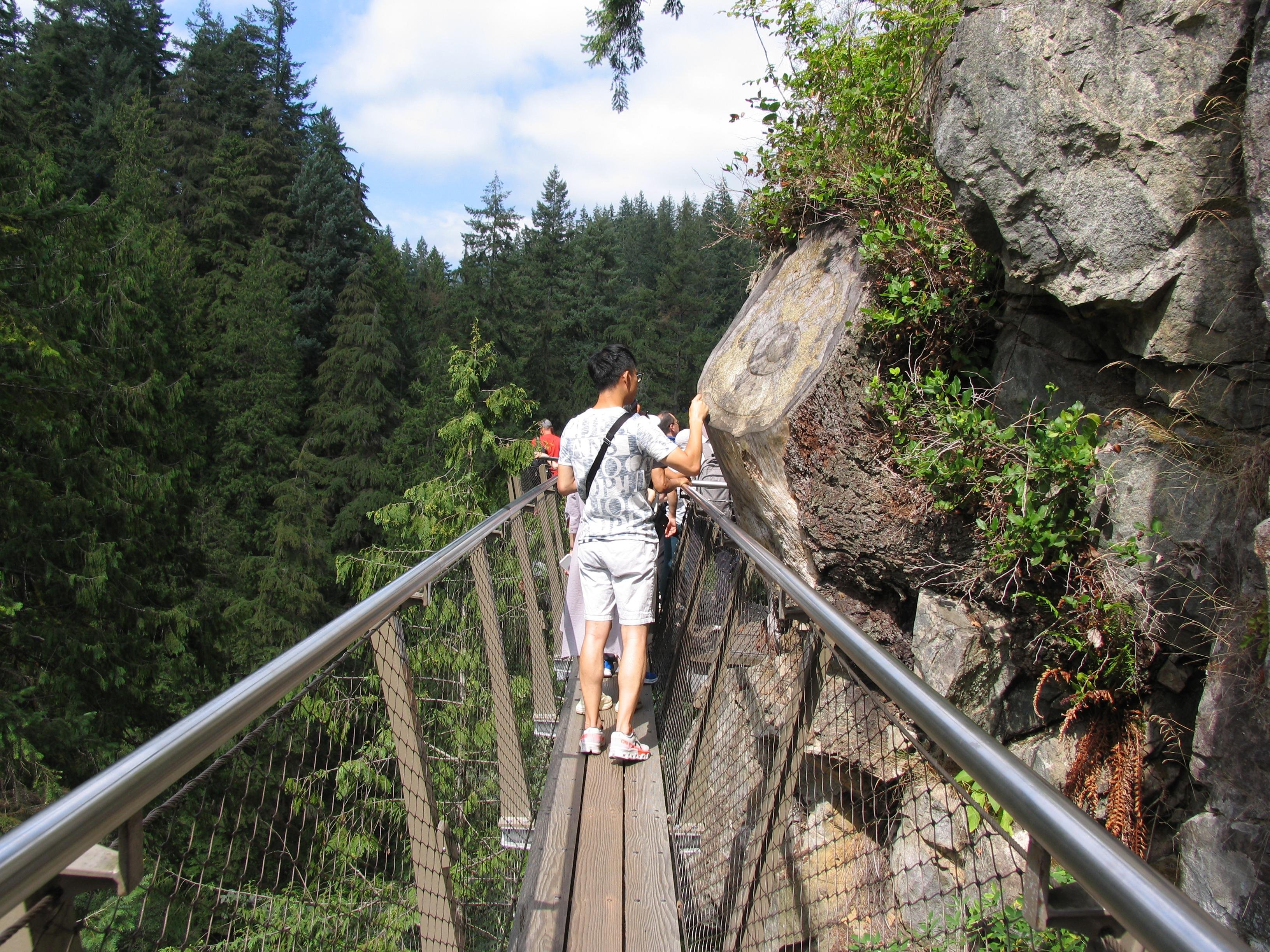 Capilano Suspension Bridge & Stanley Park Small Group Tour