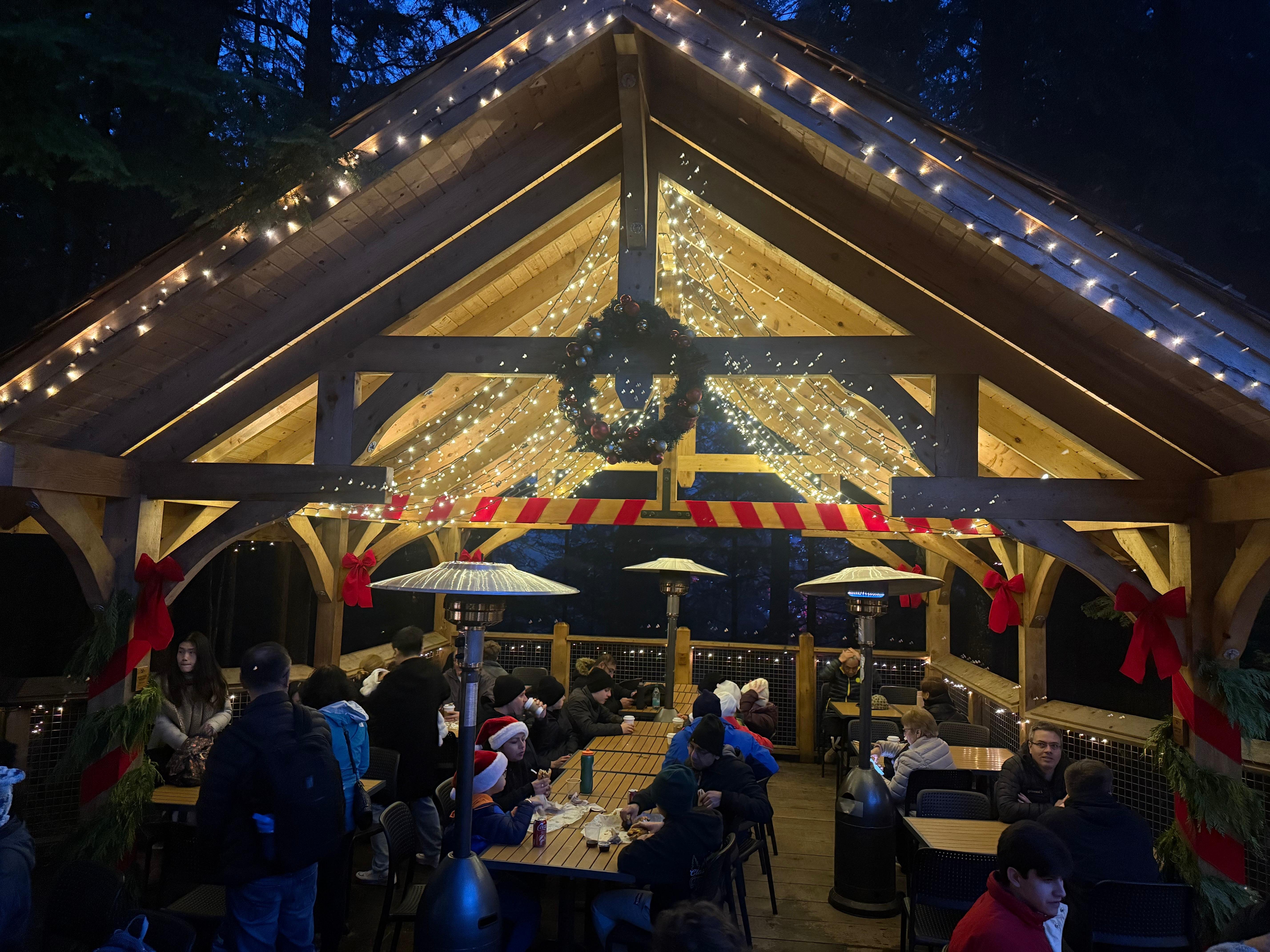 Capilano Suspension Bridge & Stanley Park Small Group Tour