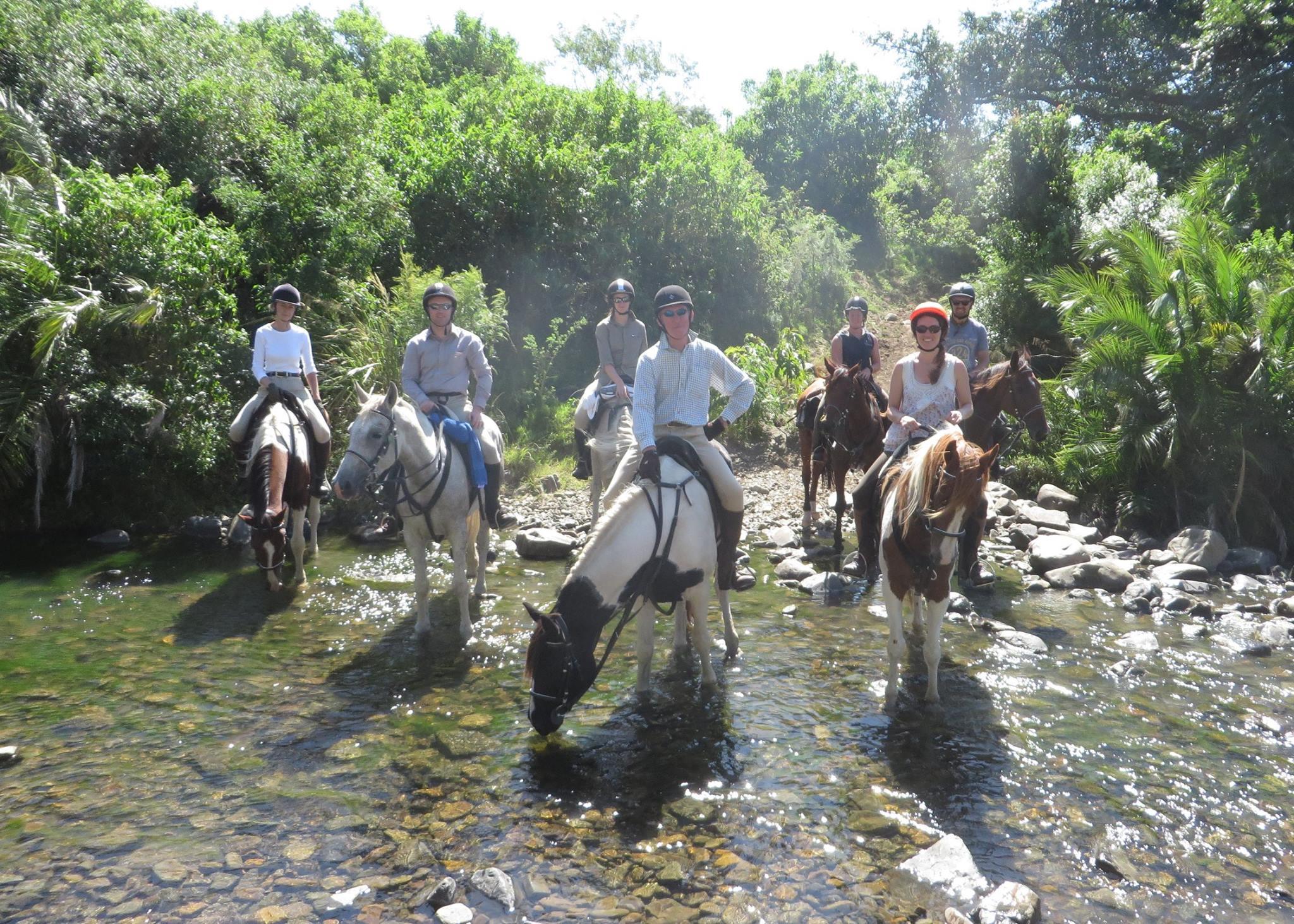 Kemer Horseback Riding Safari with Hotel Transfer