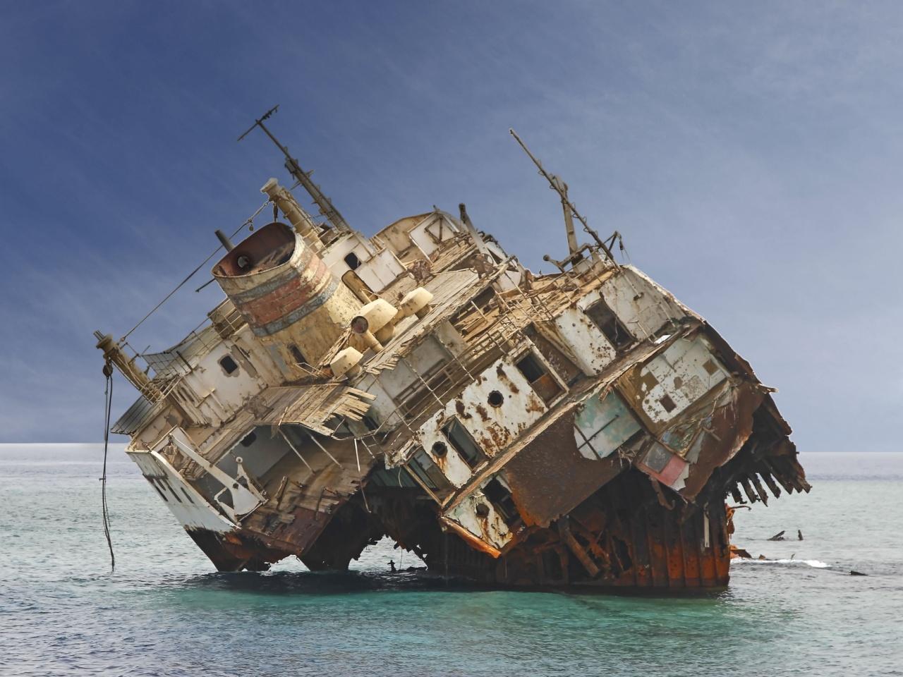Tiran Island Snorkel & Dive Cruise from Sharm El-Sheikh with Buffet Lunch