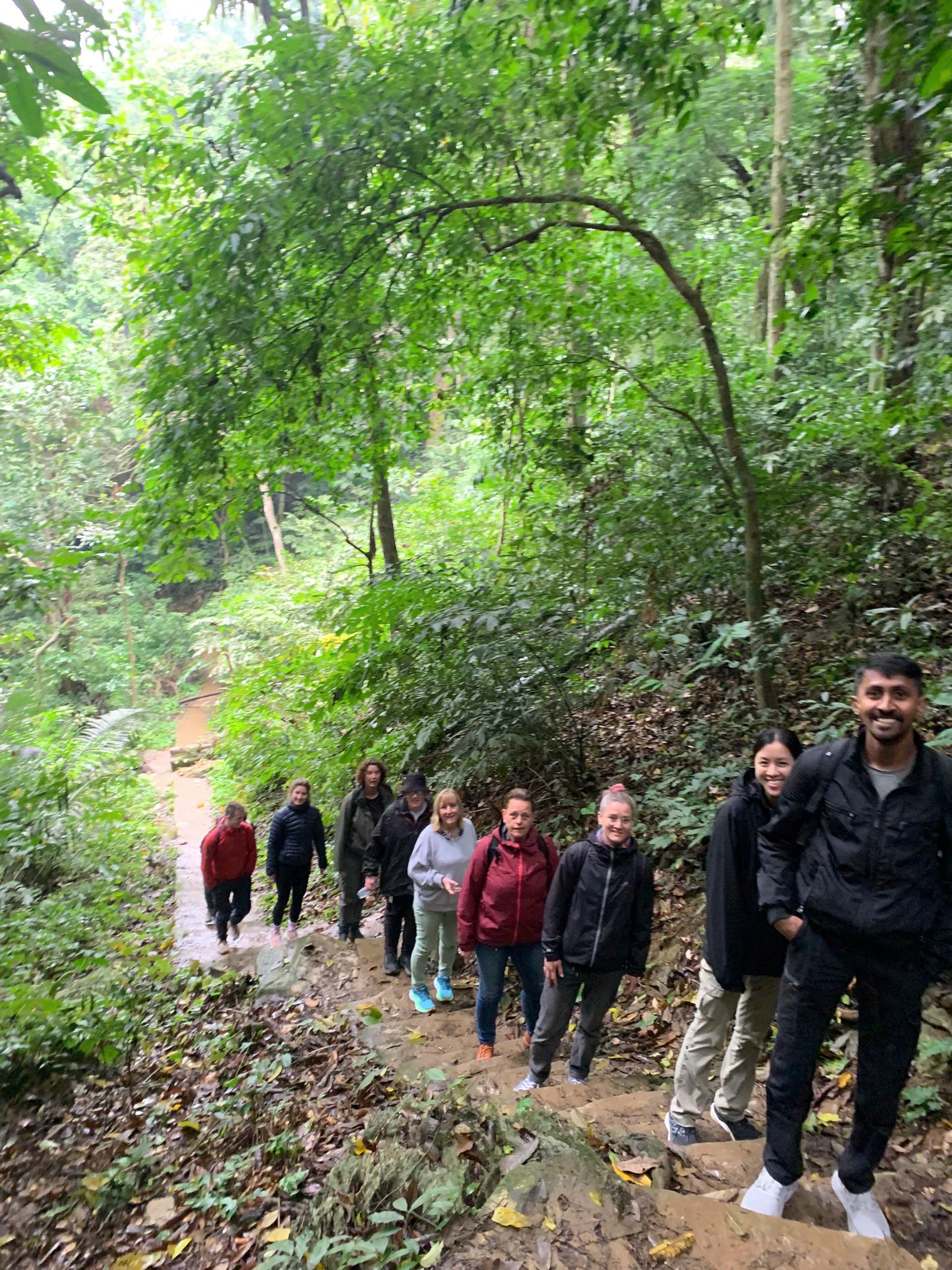 Cuc Phuong National Park: Jungle Trek & Wildlife Day Trip from Ninh Binh