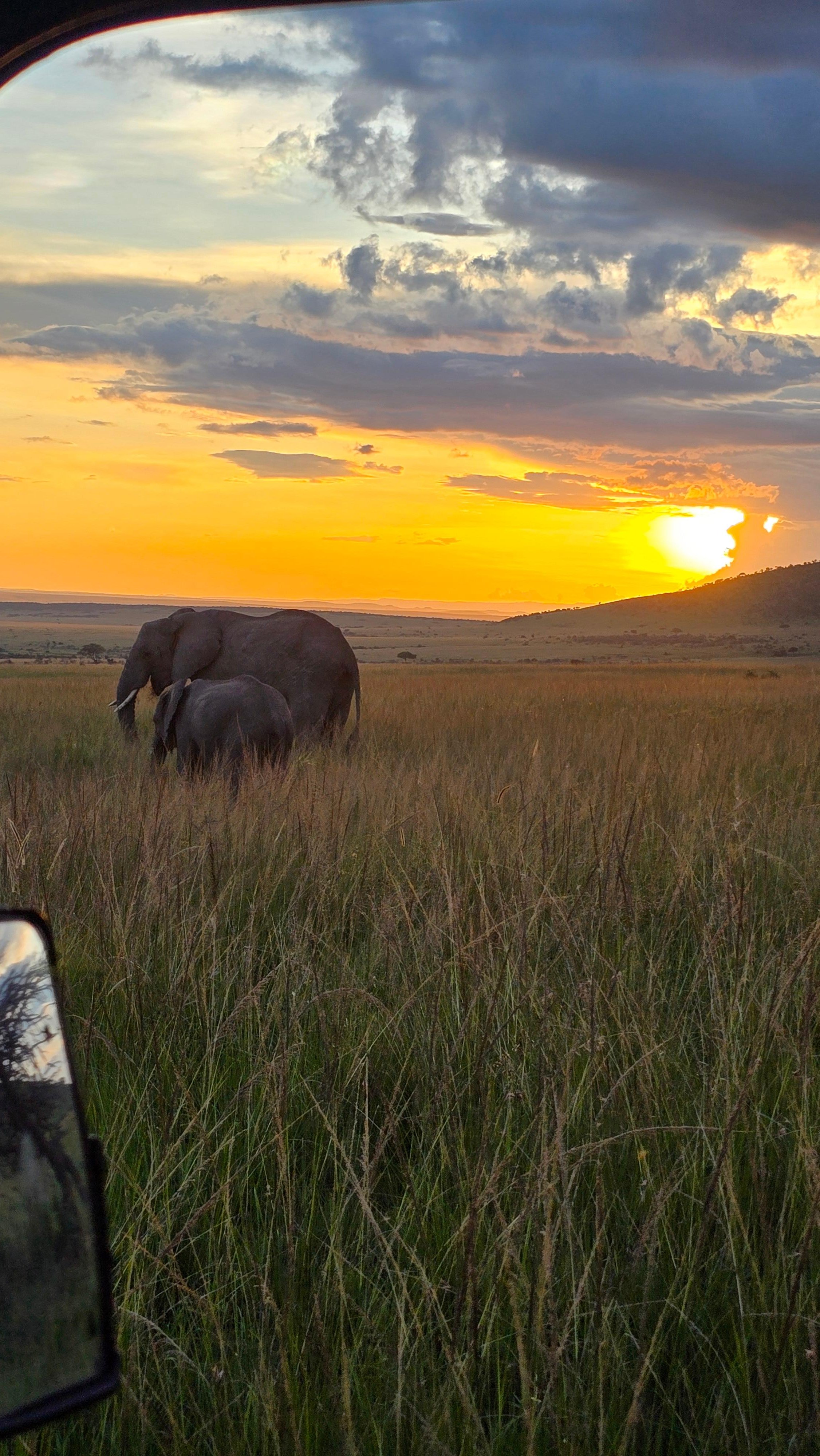 3-Day Maasai Mara Safari by 4WD Landcruiser from Nairobi