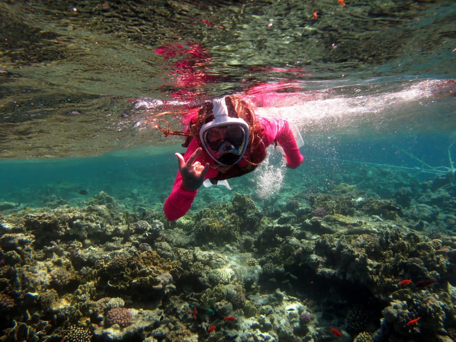 Sharm El Sheikh: White Island & Ras Mohamed Full-Day Sailing Adventure