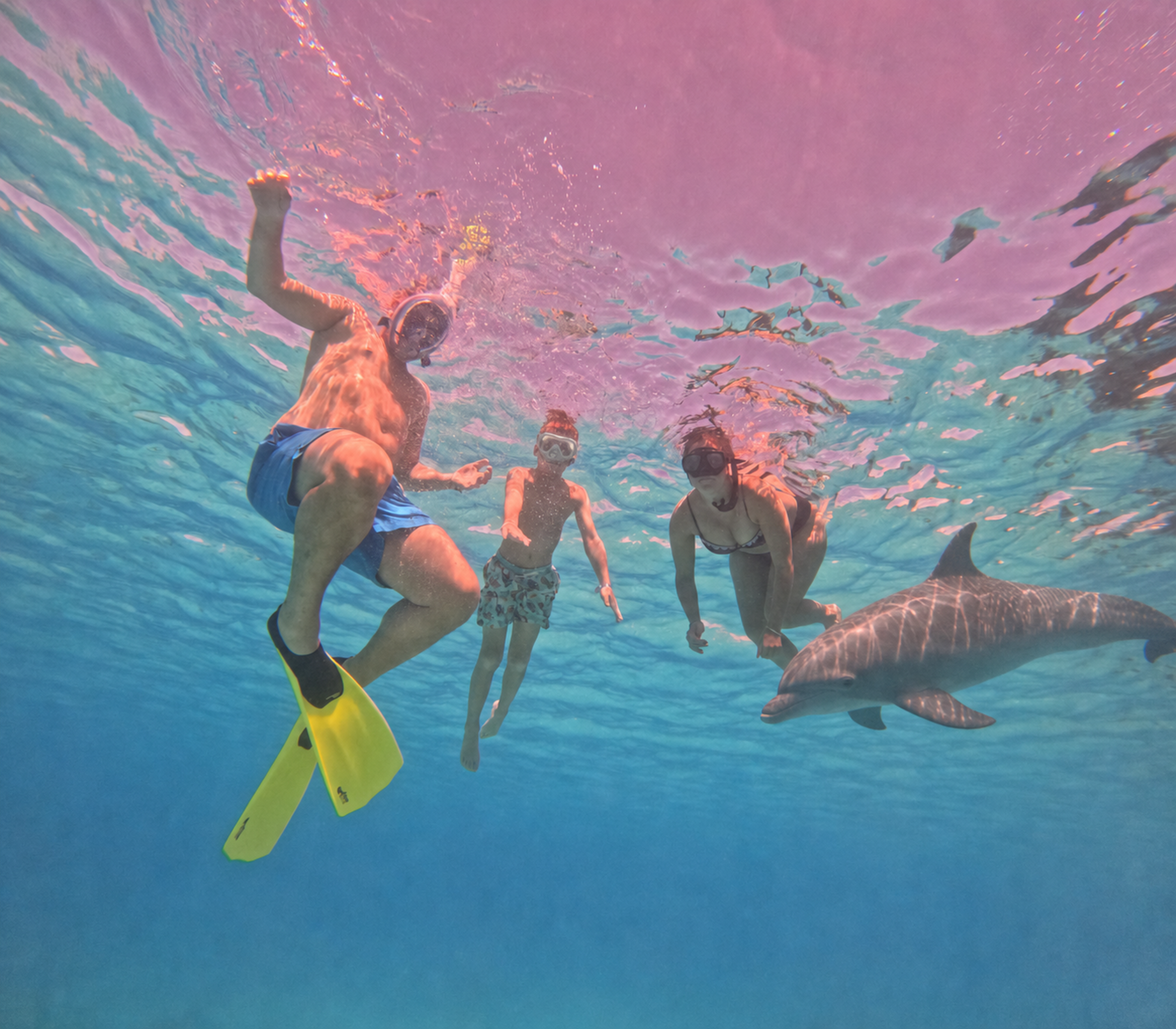 Dolphin House Speedboat & Snorkeling Adventure