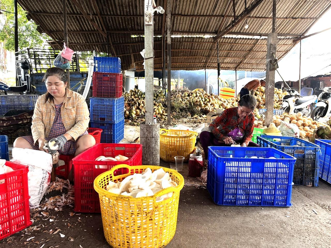 Ben Tre Mekong Delta & Cu Chi Tunnels – Small Group Day Tour (Max 9)
