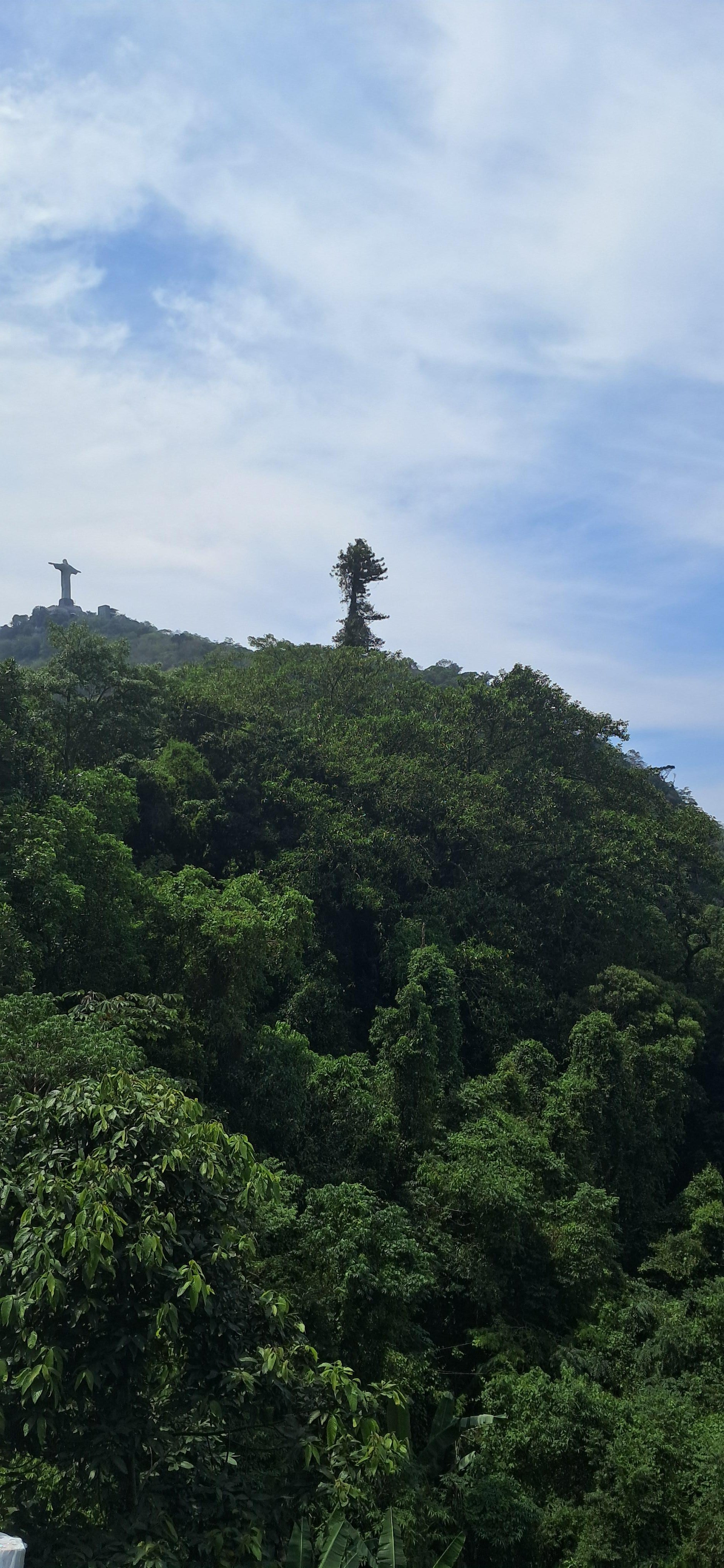 Private Customized Rio de Janeiro City Tour
