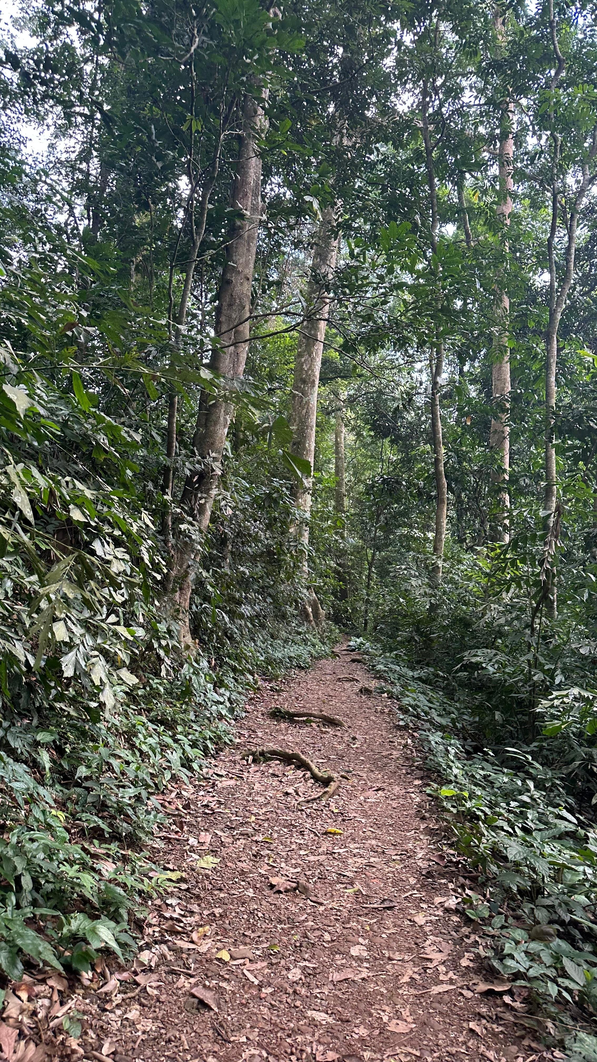 Cuc Phuong National Park Day Trek & Bear Sanctuary from Ninh Binh