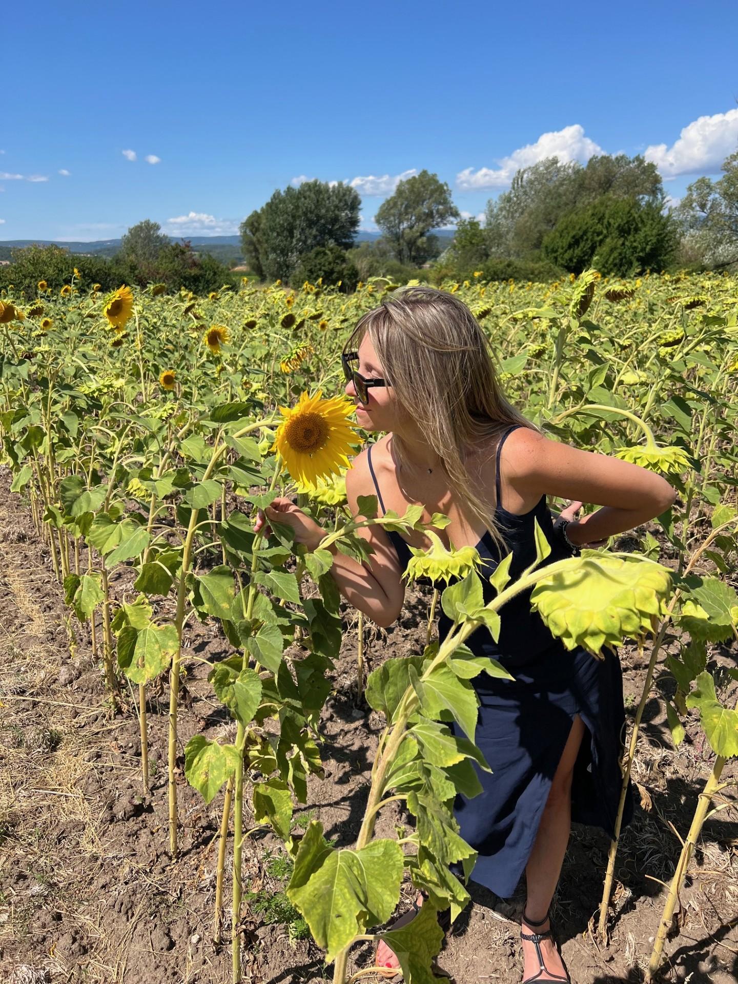 Valensole lavender fields in Provence — guided lavender tour photo 5