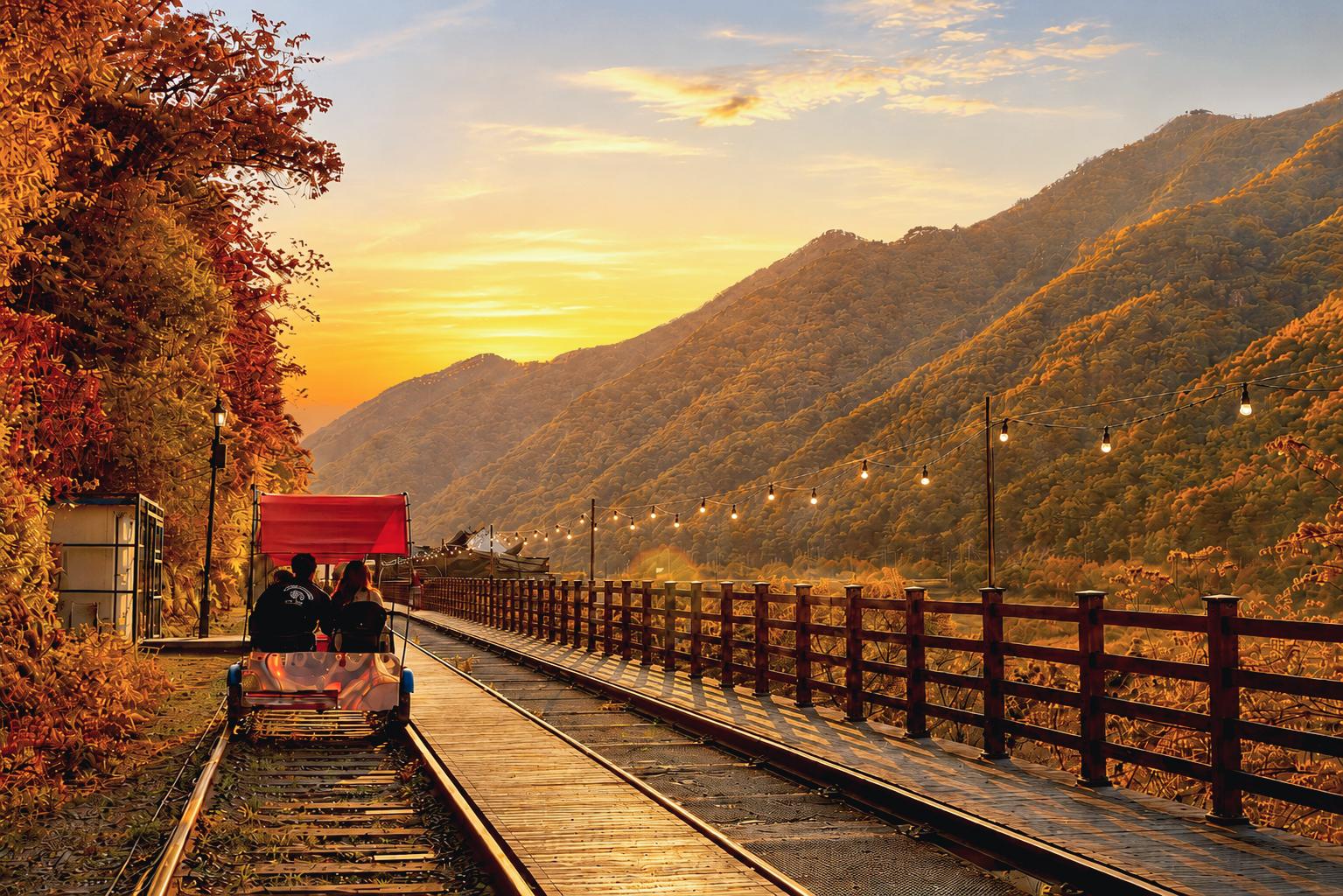 Nami Island, Petite France & Railbike Day Trip from Seoul