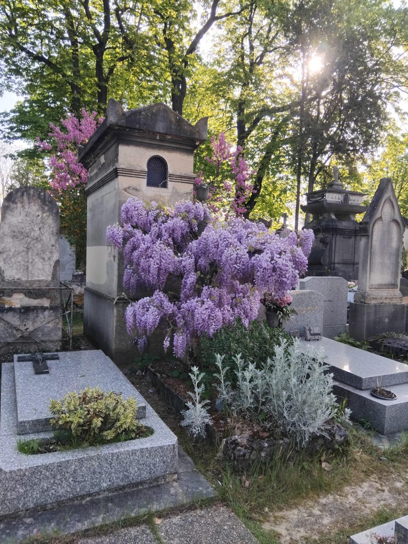 Personalized Père Lachaise Cemetery Walking Experience