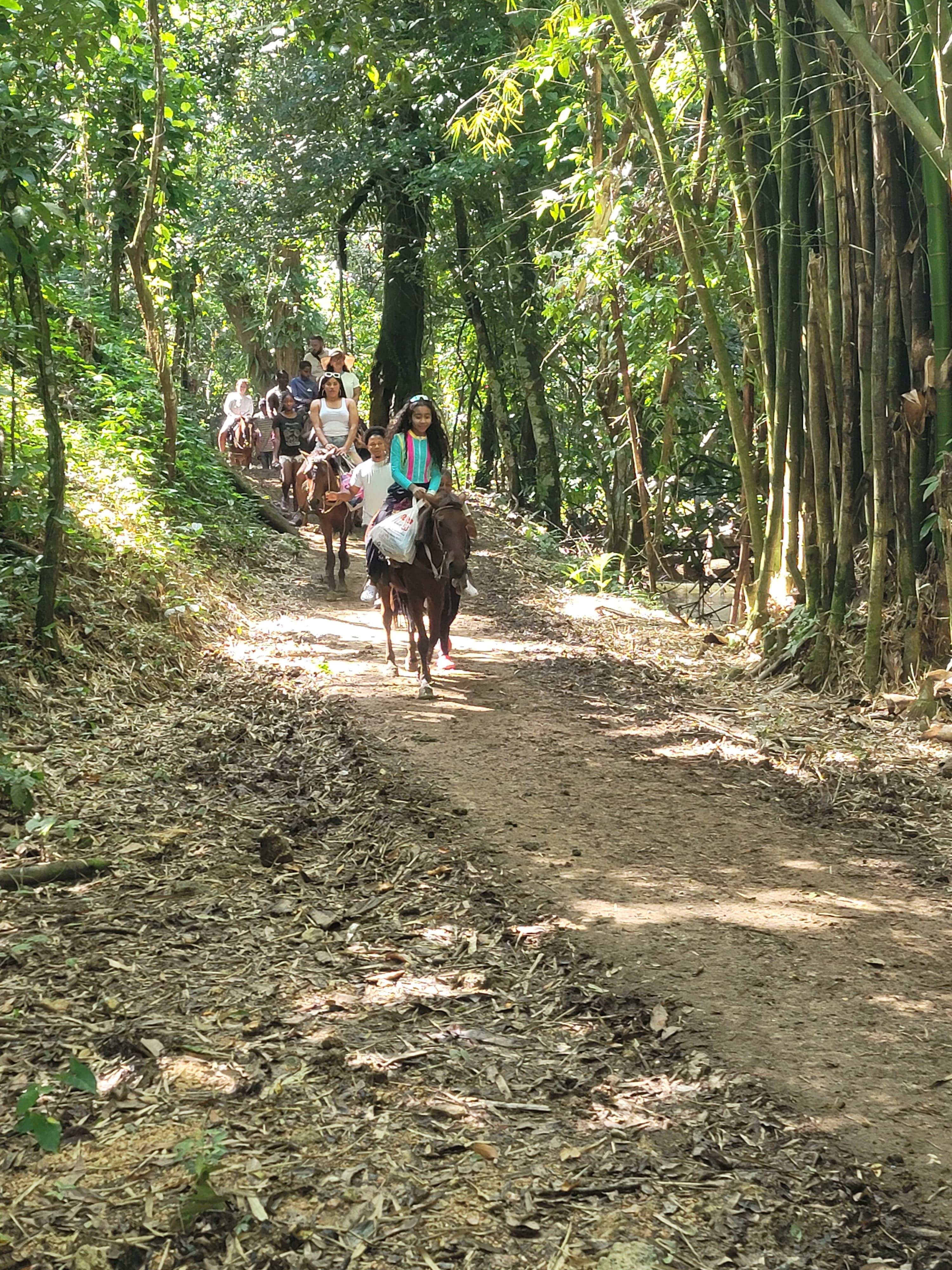 Samaná Bay & El Limón Waterfall Full-Day Adventure