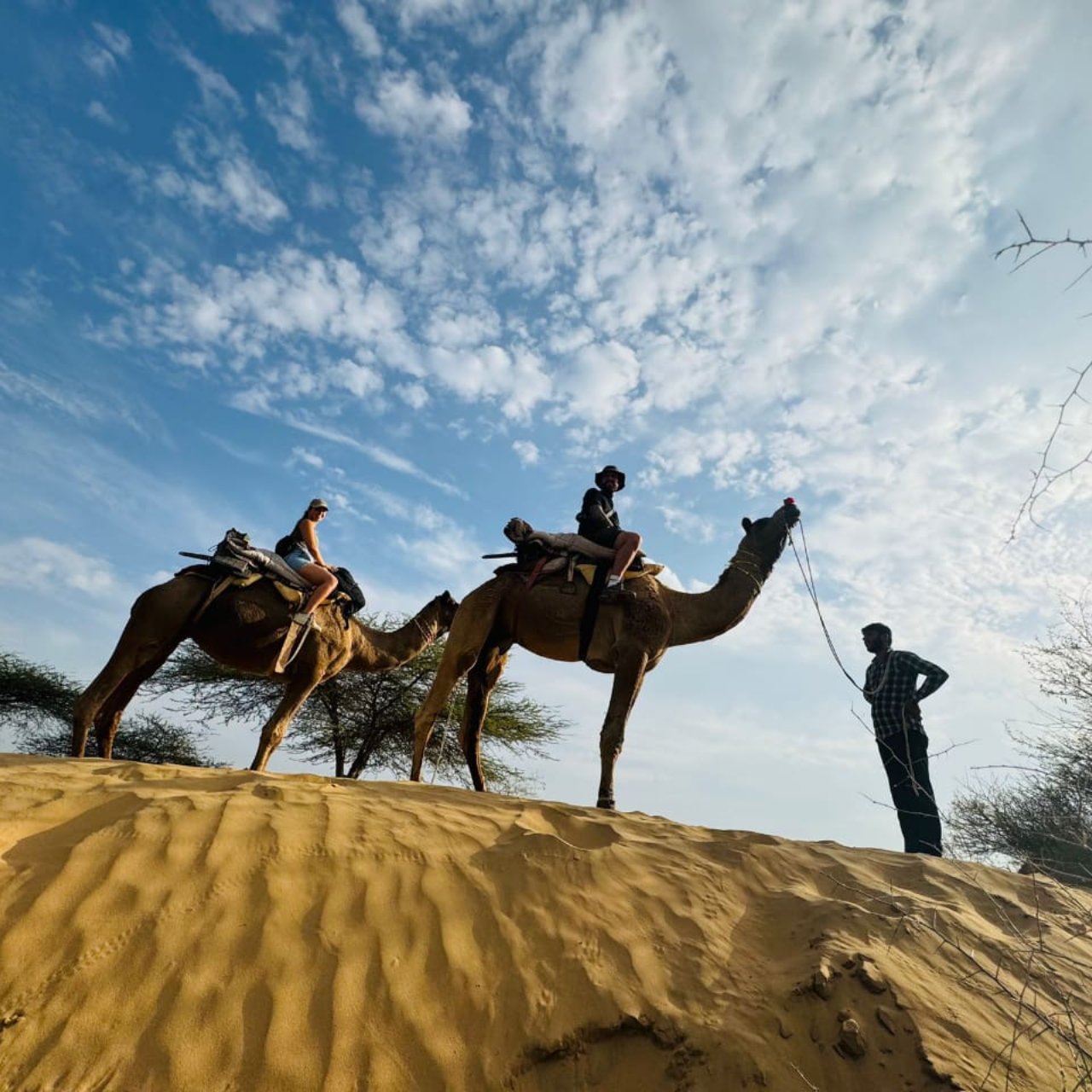 Thar Desert Overnight Camel Safari & Village Stay