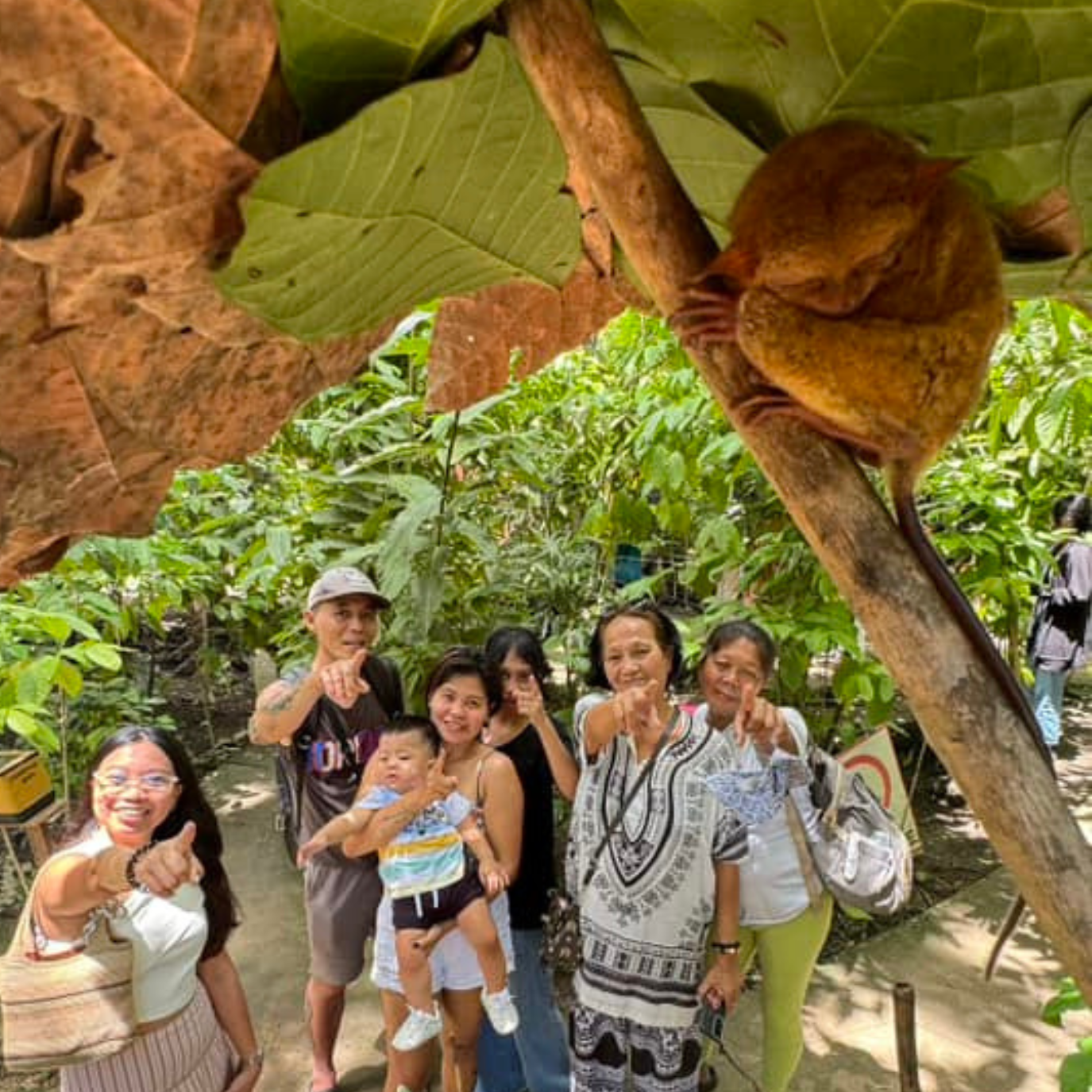 Bohol Countryside Day Tour from Cebu with Loboc River Cruise Lunch