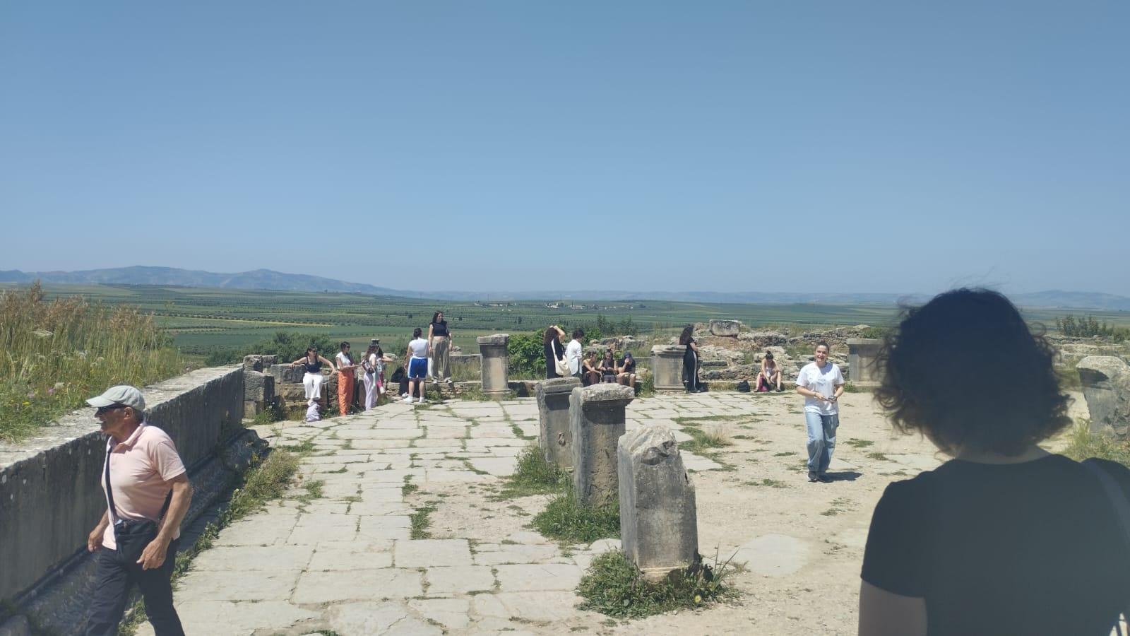 Fes Imperial Cities & Roman Ruins Day Trip