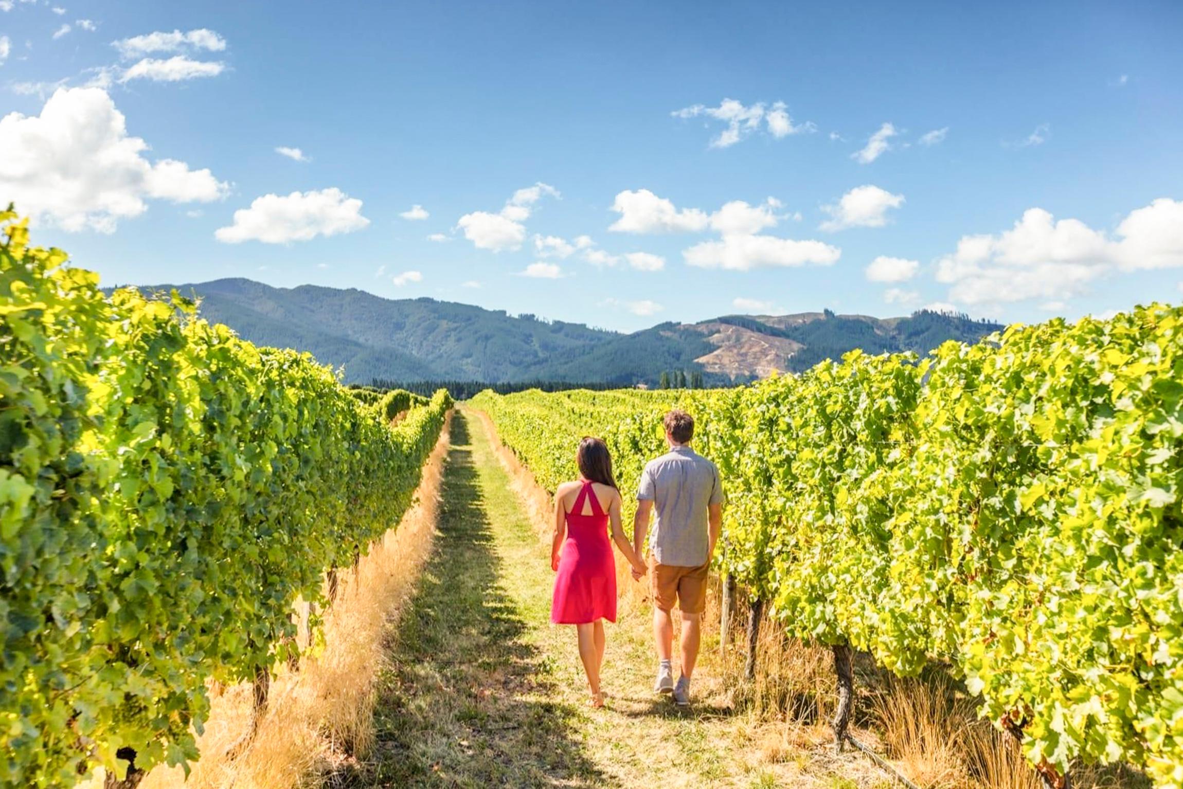 Alcatraz Night Tour, Muir Woods & Wine Country 2-Day Adventure