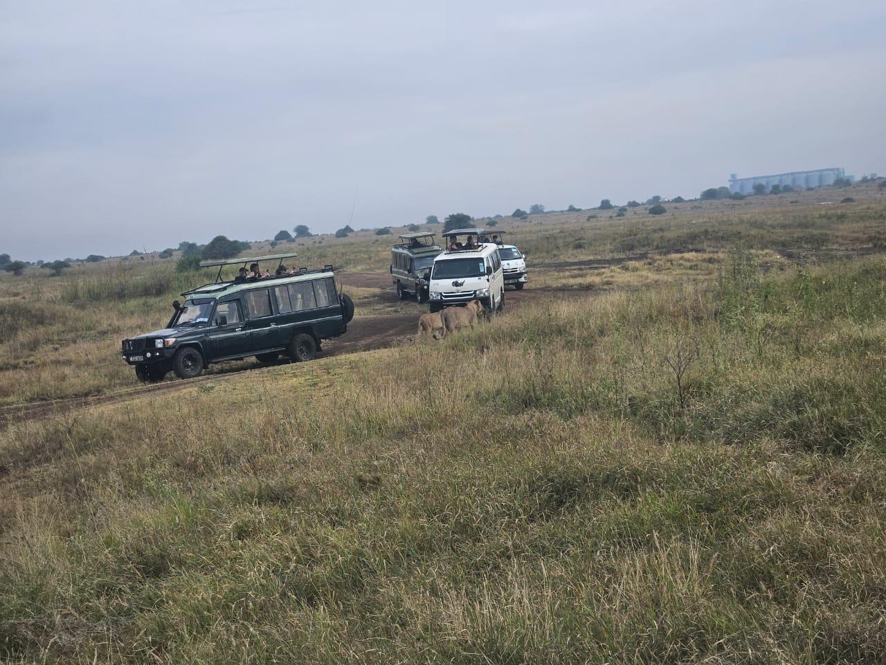 Nairobi National Park: Early Morning Guided Safari