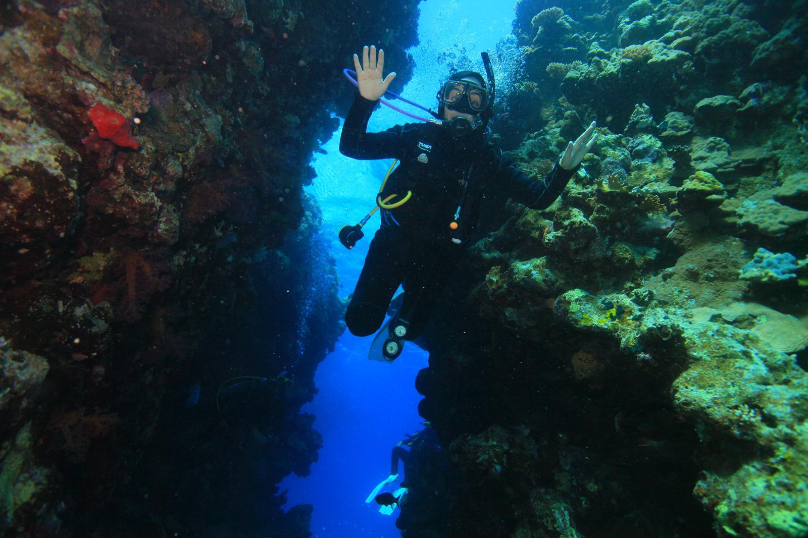 Tiran Island Snorkel & Dive Cruise from Sharm El-Sheikh with Buffet Lunch