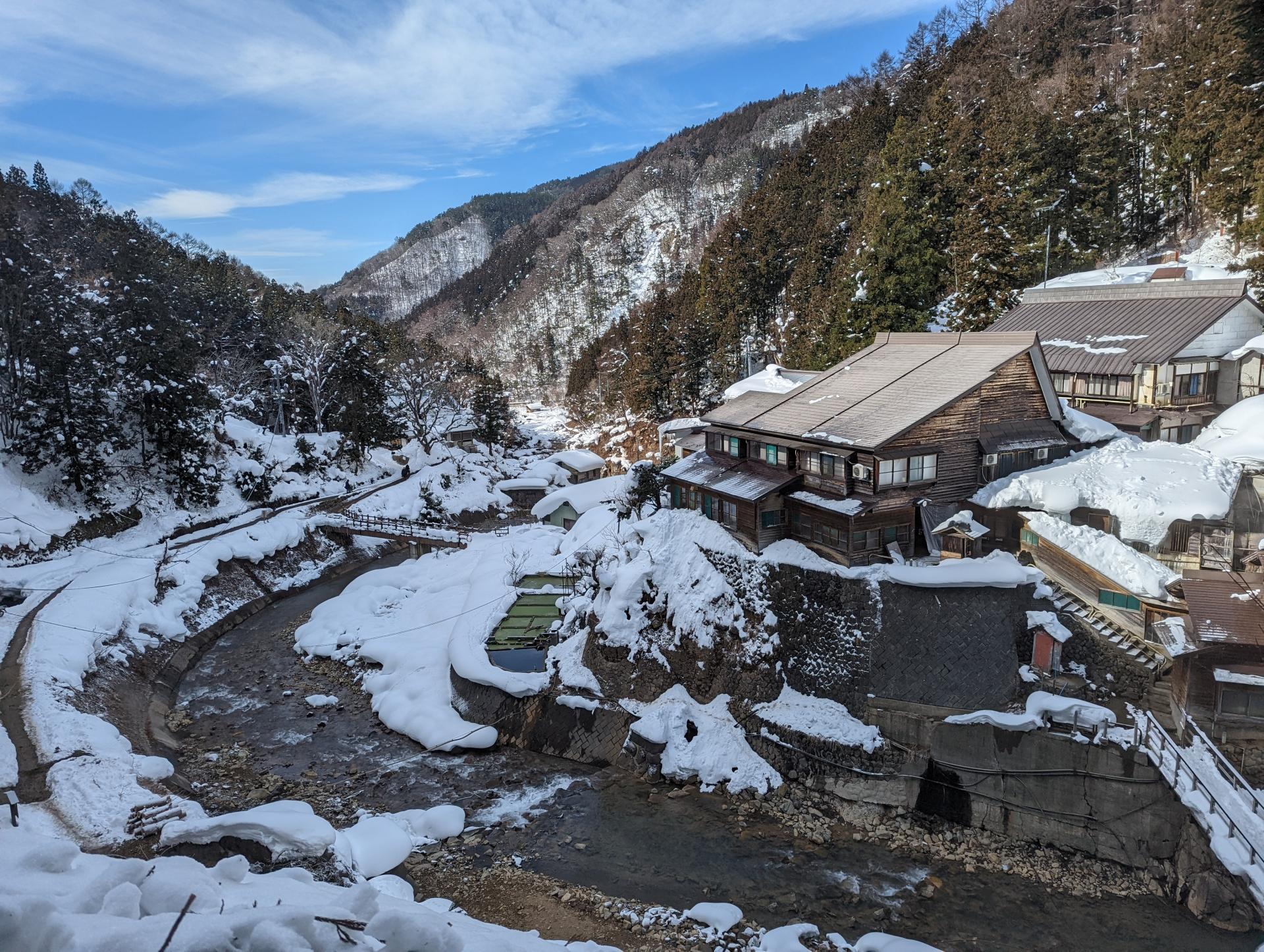 Jigokudani Snow Monkey Park Guided Tour from Nagano