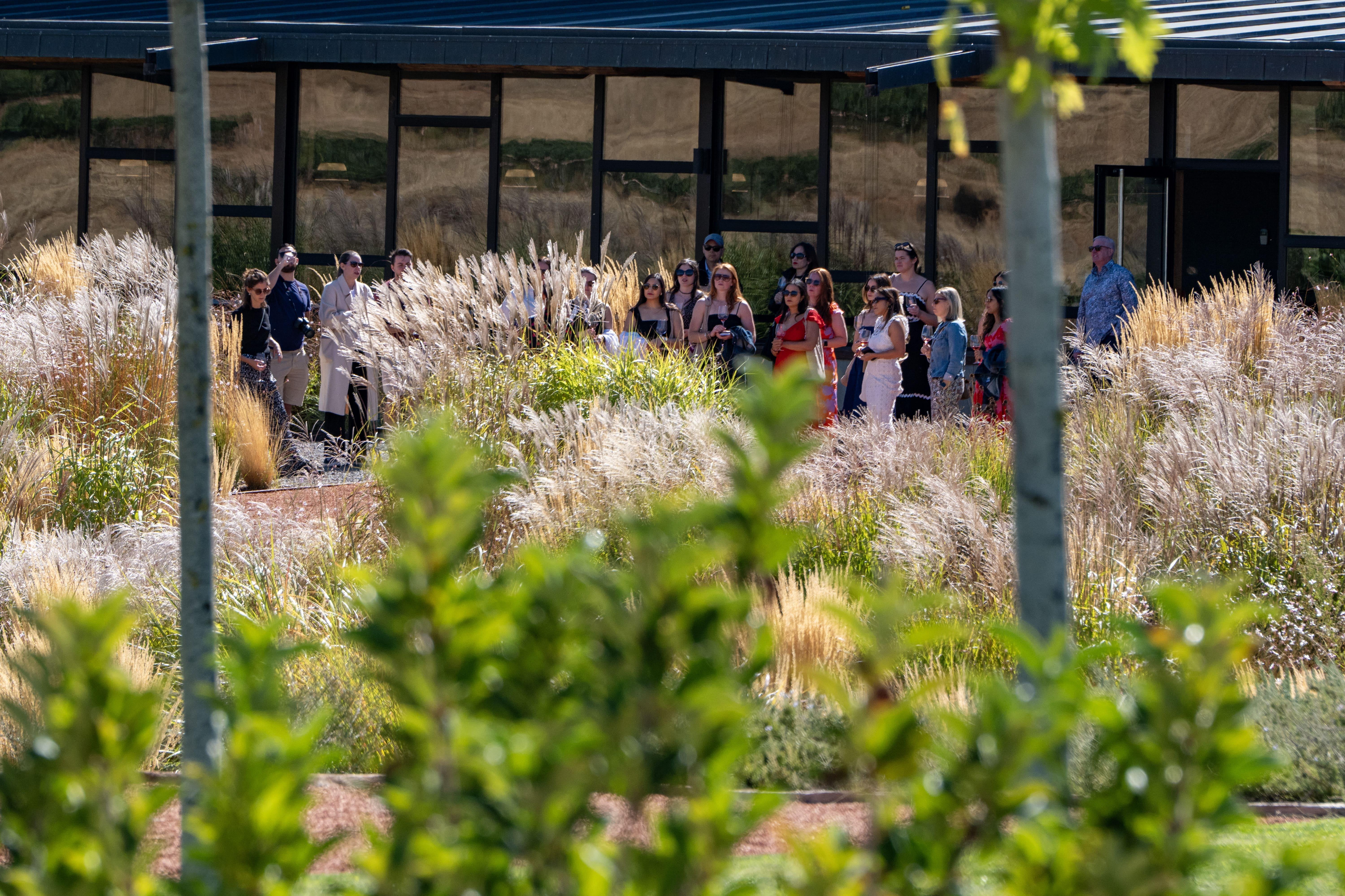 wine tour in Ribera del Duero — photo 8