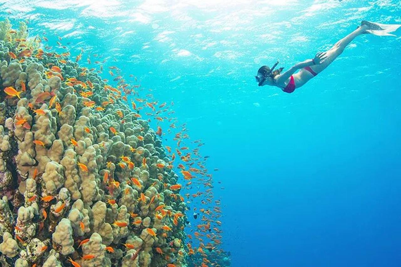 Sharm El Sheikh: Private Yacht Snorkeling & Diving Day Trip
