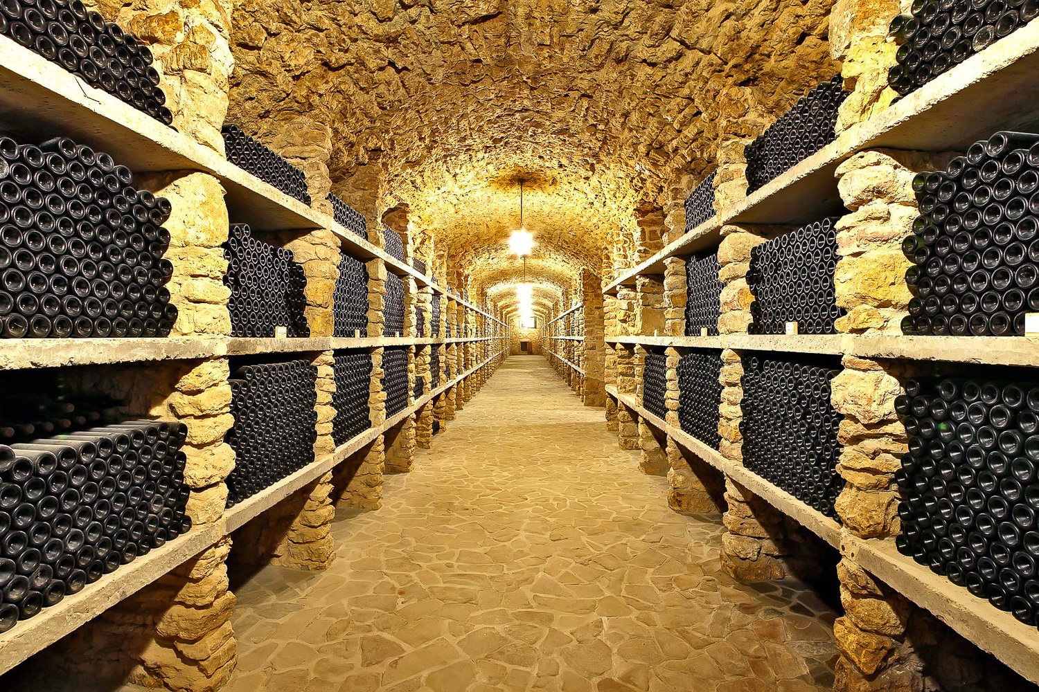 From Paris: Small-Group Champagne Day Trip with Six Tastings
