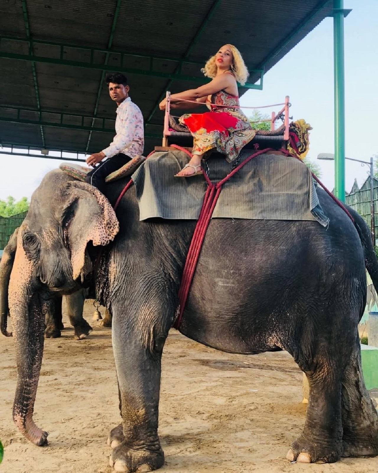Jaipur After Dark: Private Open-Air Jeep Safari