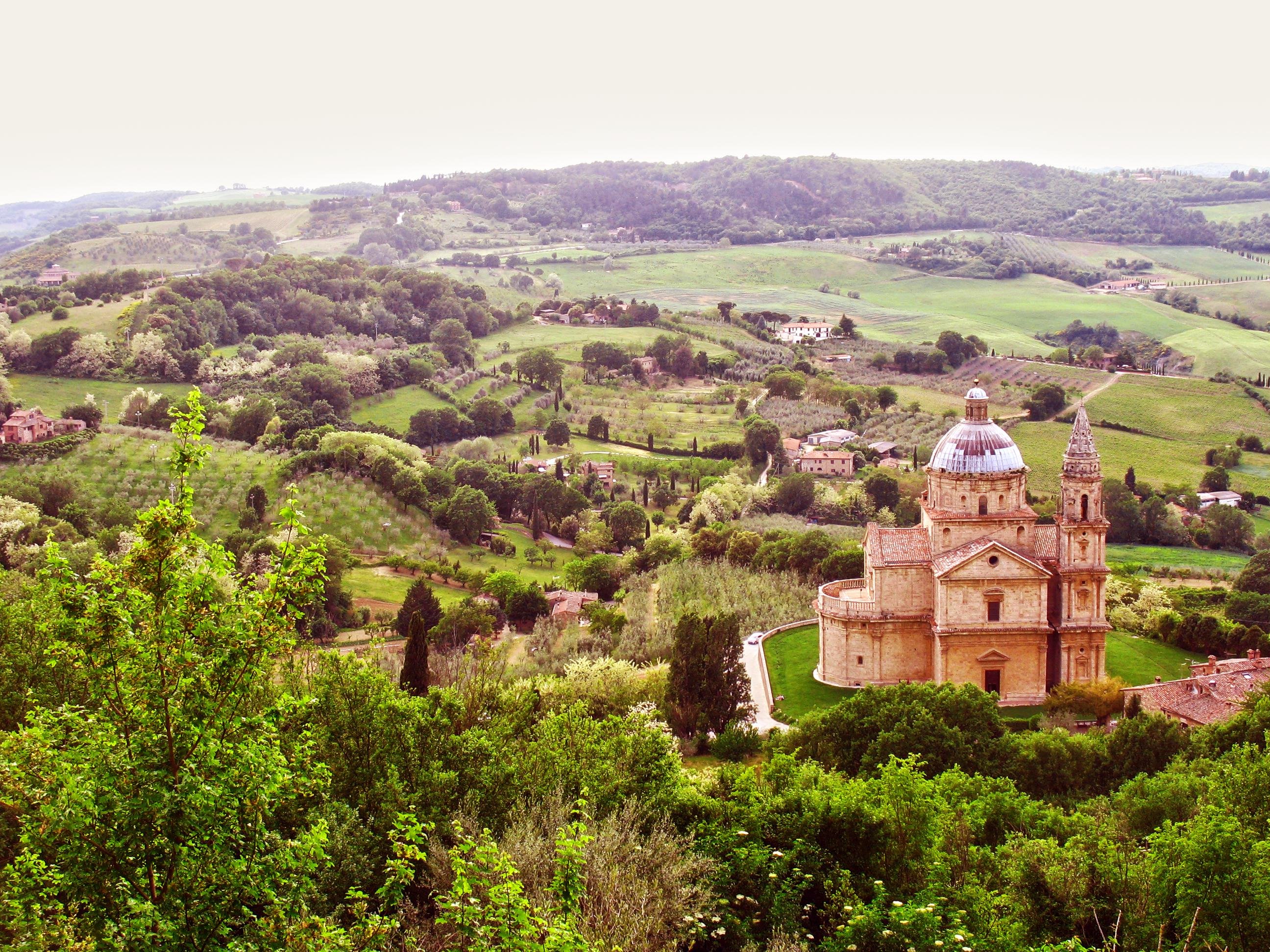Montalcino & Montepulciano Private Wine Tour from Florence